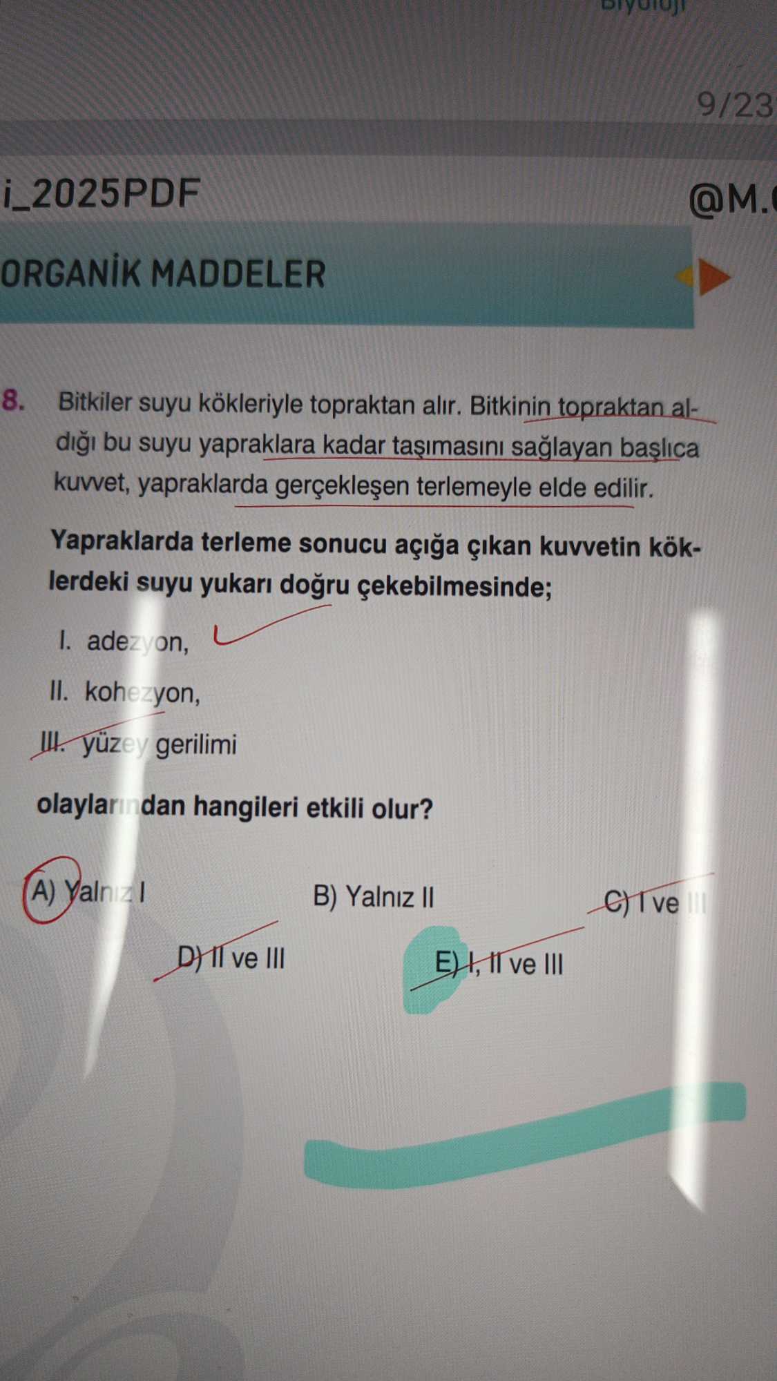 Bitkiler suyu kökleriyle topraktan alır. Bitkinin topraktan aldığı bu suyu yapraklara kadar