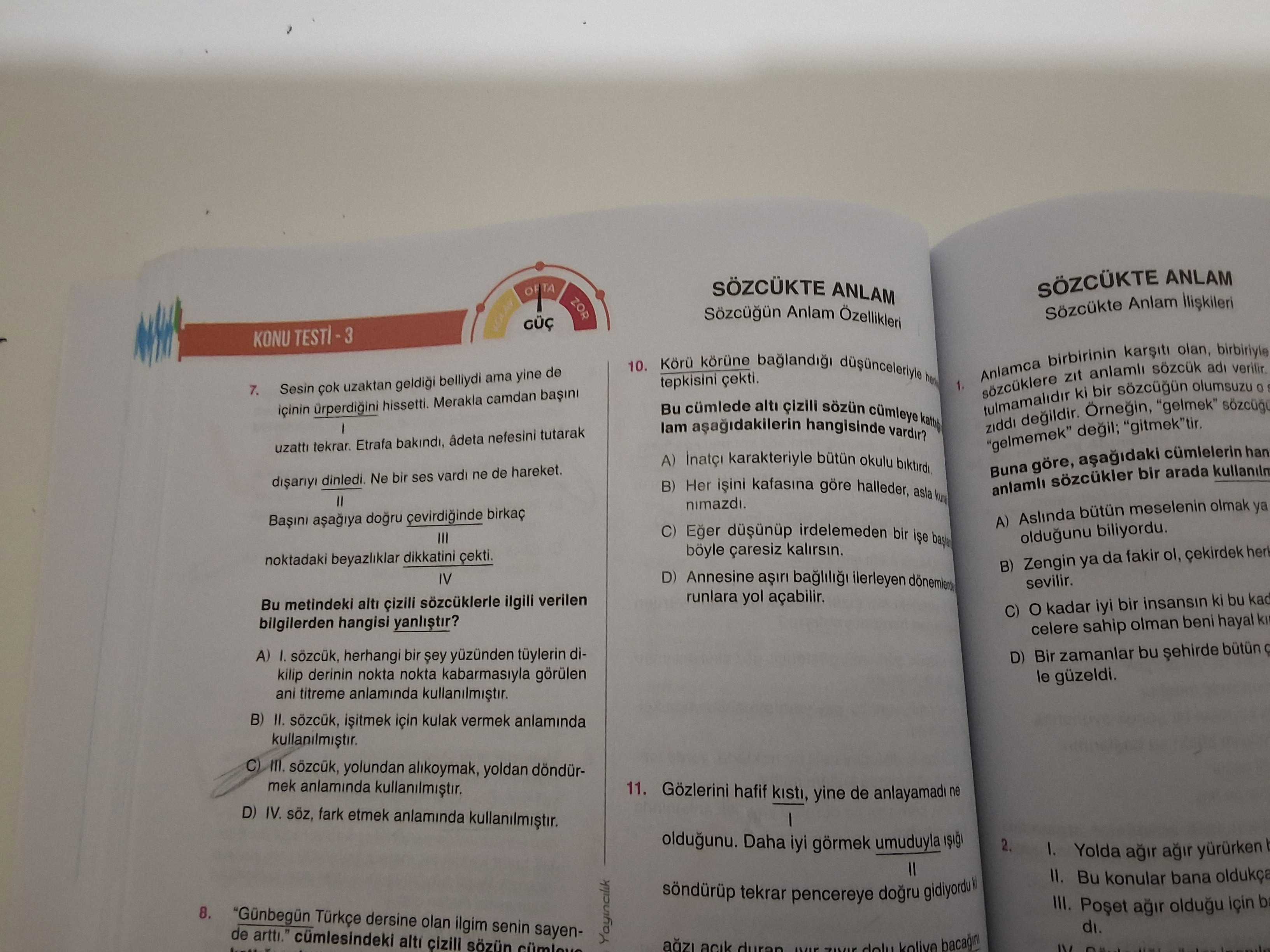 Türkçe (8. Sınıf)
