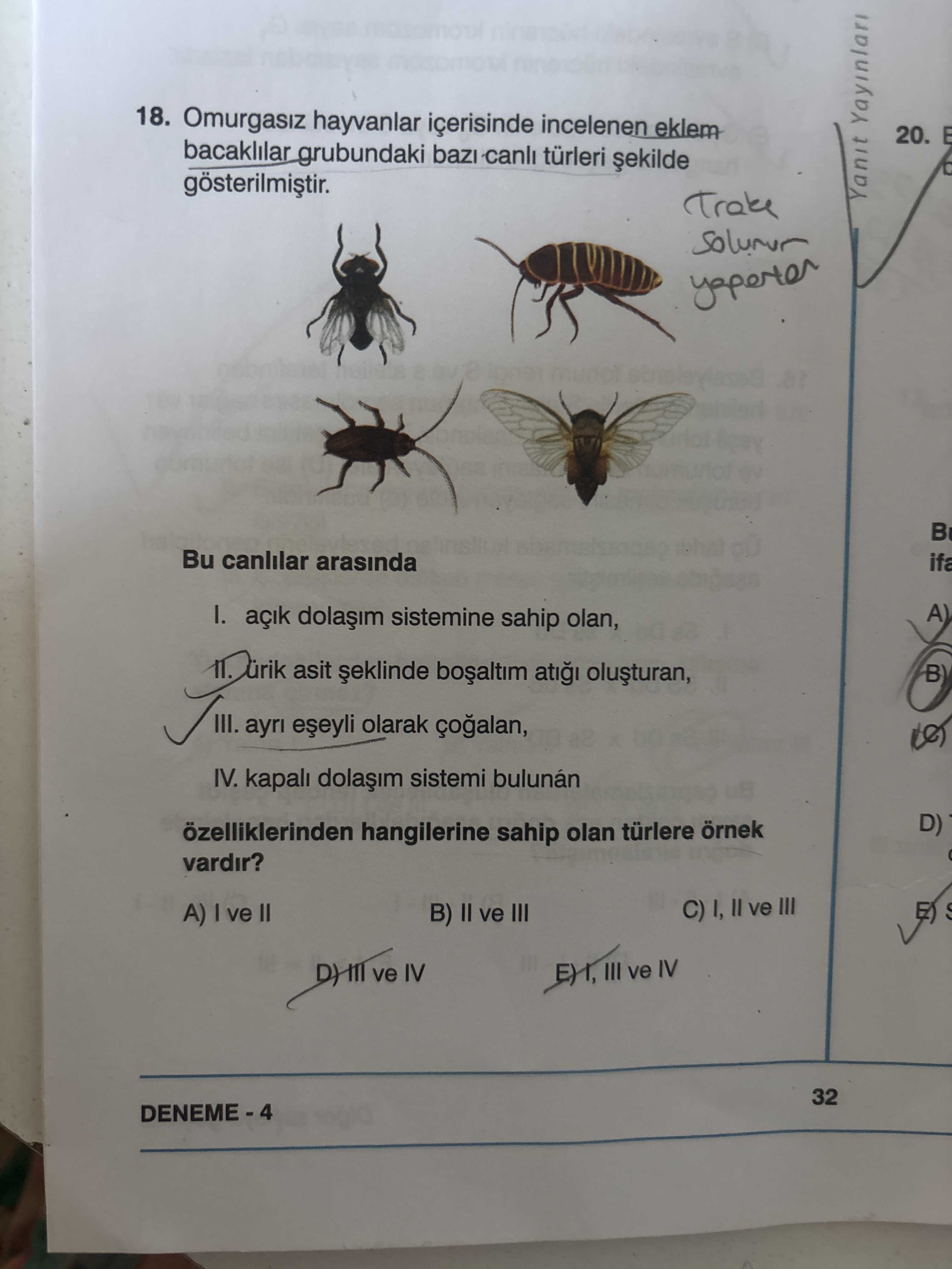 Omurgasız hayvanlar içerisinde incelenen eklem bacaklılar grubundaki bazı canlı türleri şekilde