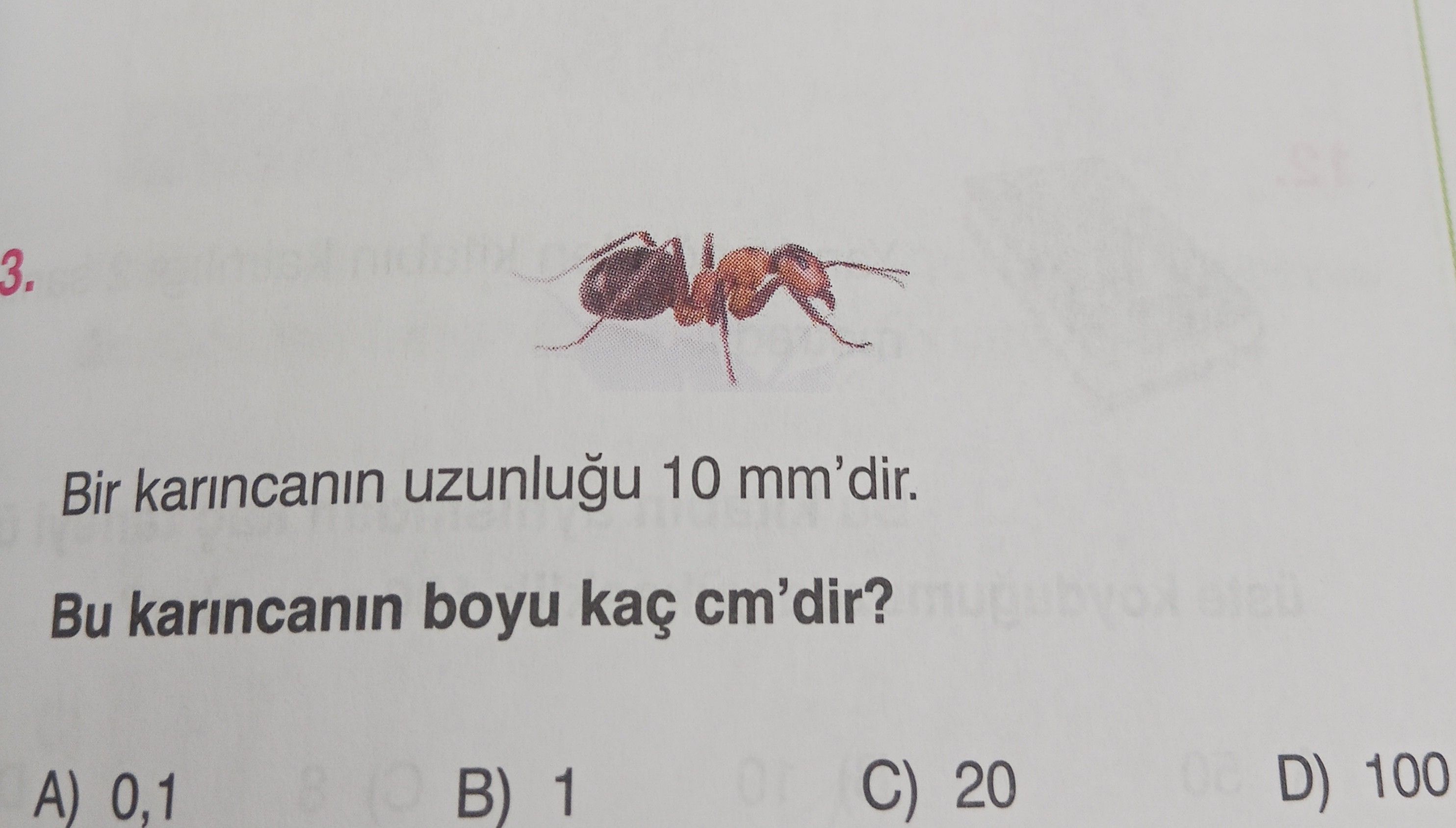 Bir karıncanın uzunluğu 10 mm'dir. Bu karıncanın boyu kaç cm'dir?