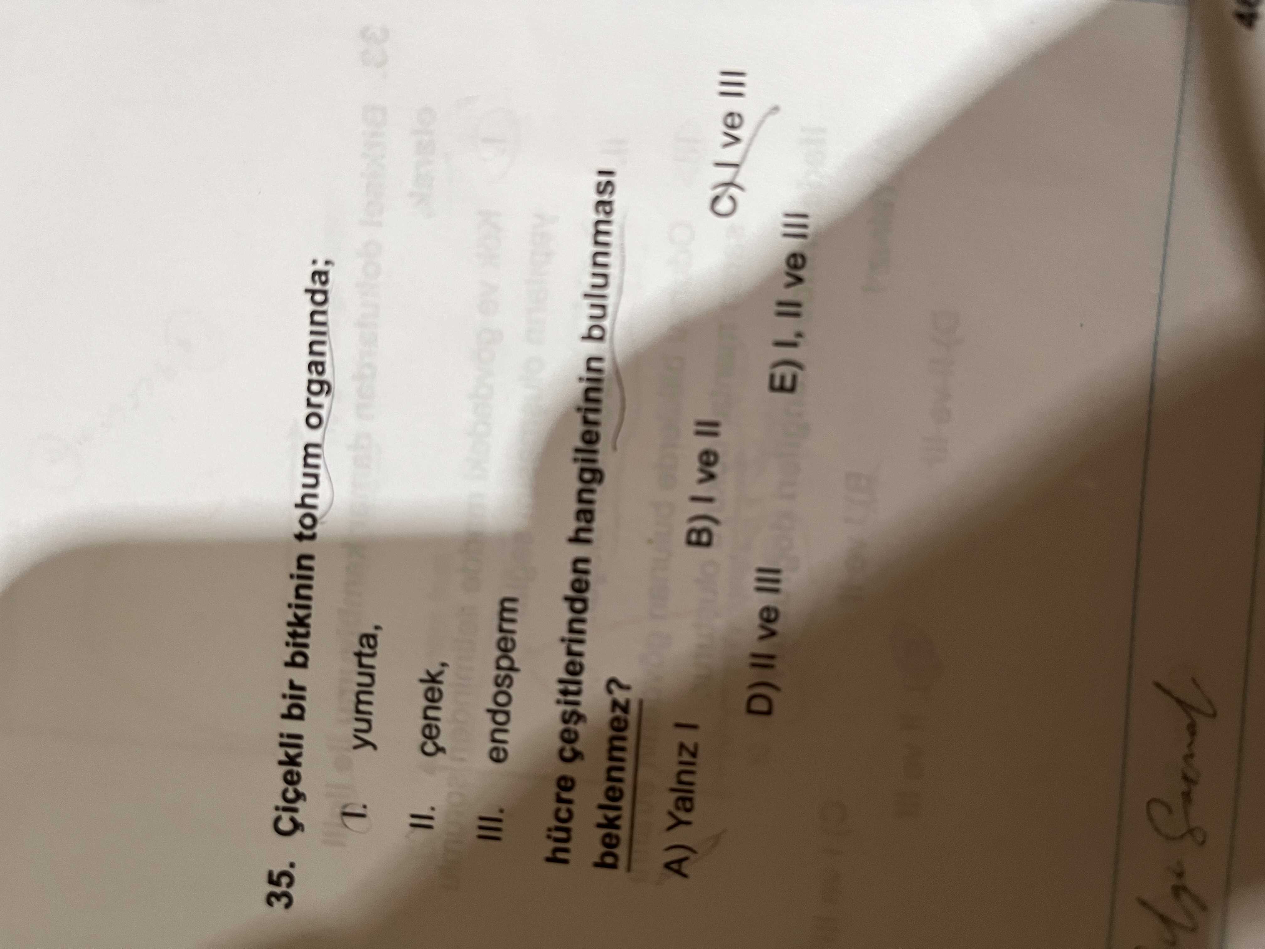 Çiçekli bir bitkinin tohum organında; I. yumurta, II. çenek, III. endosperm hücre çeşitlerinden