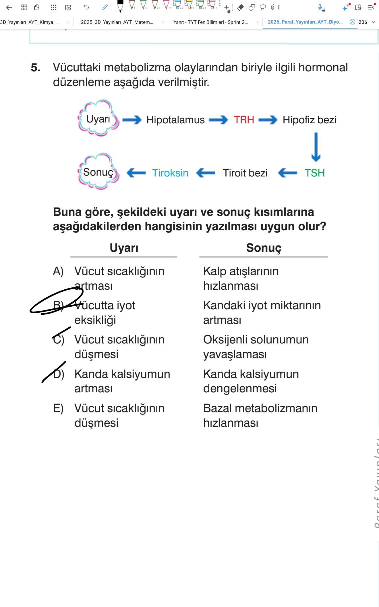 Vücuttaki metabolizma olaylarından biriyle ilgili hormonal düzenleme aşağıda verilmiştir. Buna göre