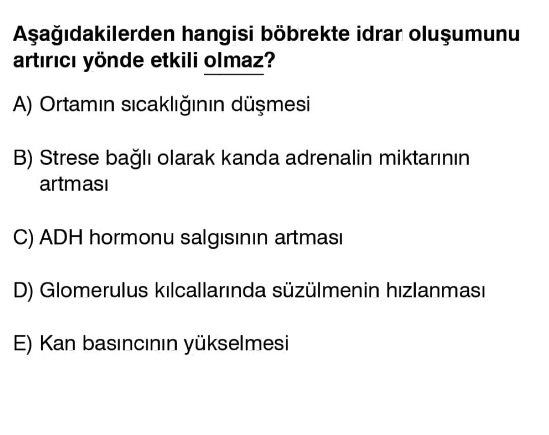 Hangisi böbrekte idrar artirici yönde etkili olmaz. Ortamin B) Strese bagli olarak kanda adrenalin miktarinin artmasi C) ADH hormonu artmasi D) Glomerulus kilcallarinda süzülmenin E) Kan basincinin yükselmesi hangisi böbrekte idrar artirici yönde etkili olmaz. Ortamin B) Strese bagli olarak kanda adrenalin miktarinin artmasi C) ADH hormonu artmasi D) Glomerulus kilcallarinda süzülmenin E) Kan basincinin yükselmesi. ?? Model.Question.title