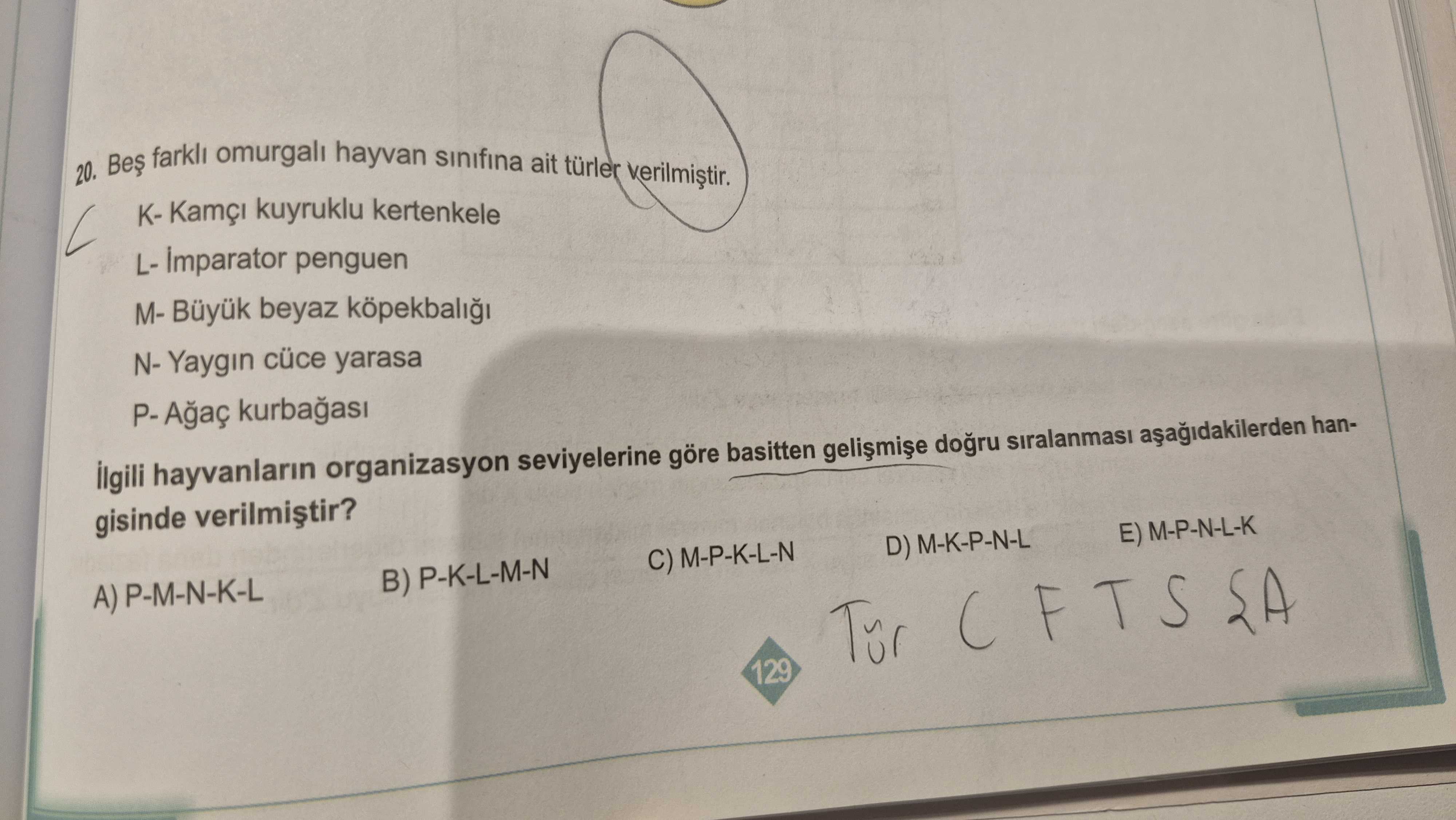 Beş farklı omurgalı hayvan sınıfına ait türler verilmiştir. K- Kamçı kuyruklu kertenkele L
