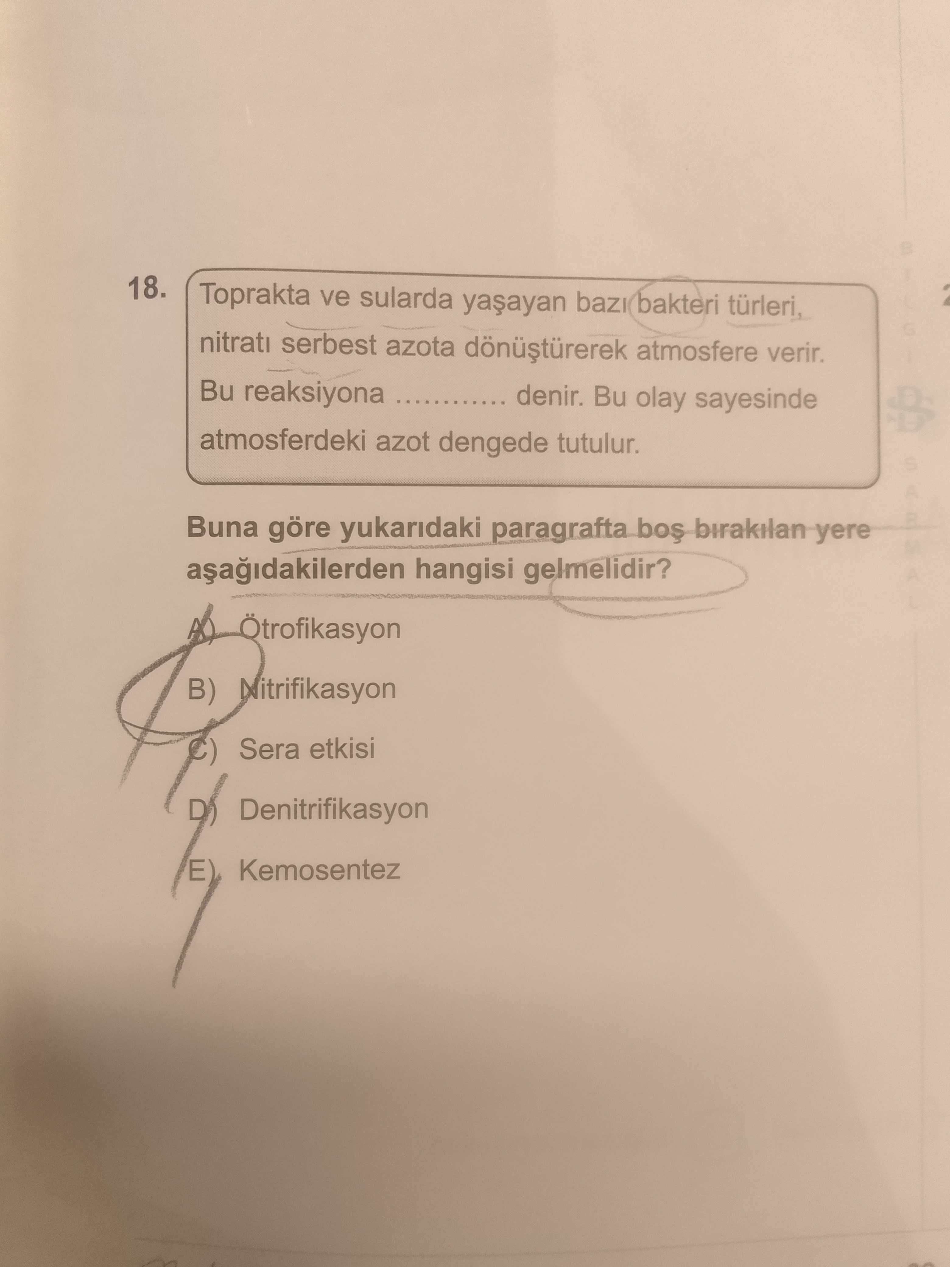 Toprakta ve sularda yaşayan bazı bakteri türleri, nitratı serbest azota dönüştürerek atmosfere