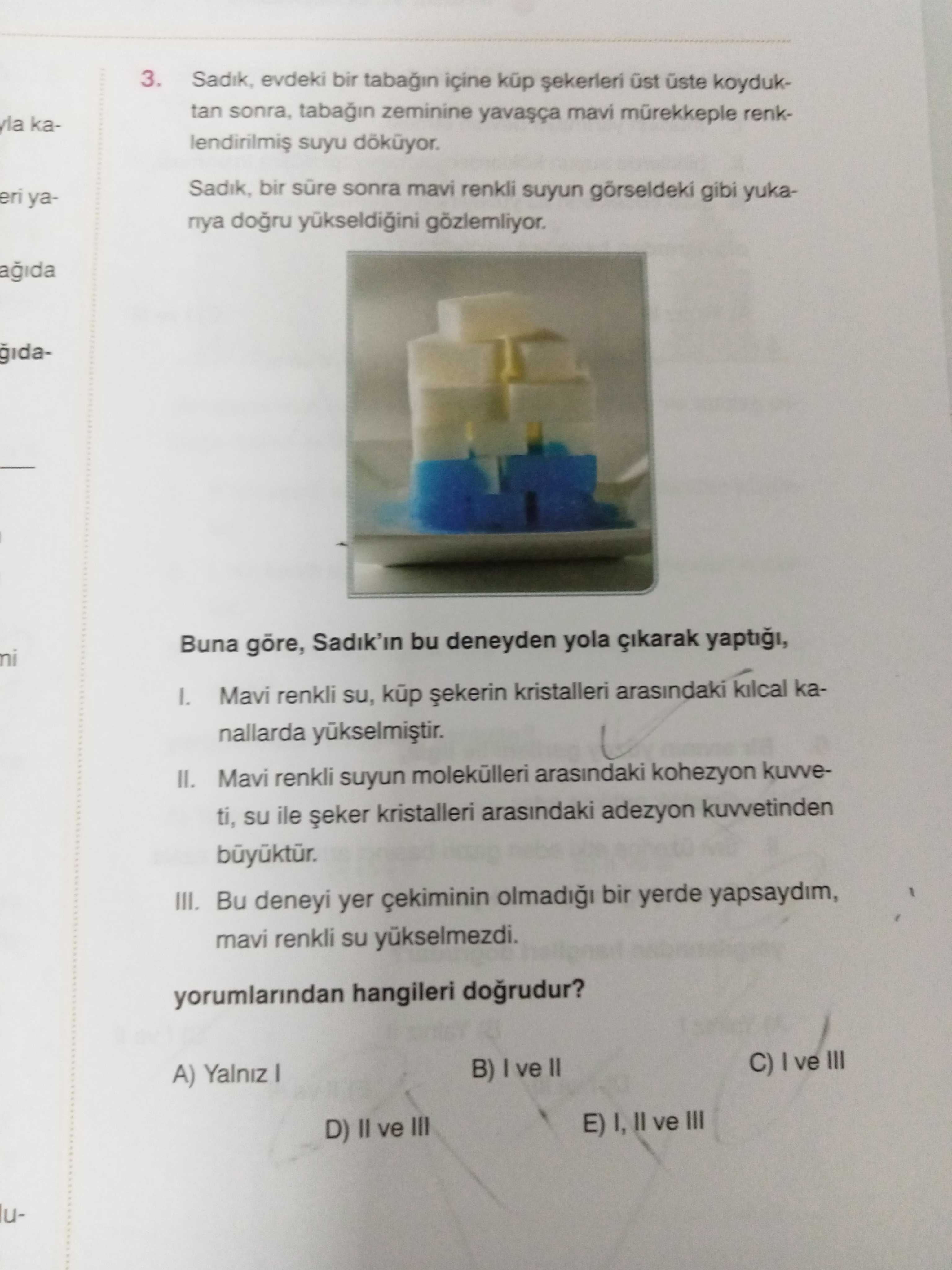 Fizik (11. Sınıf)