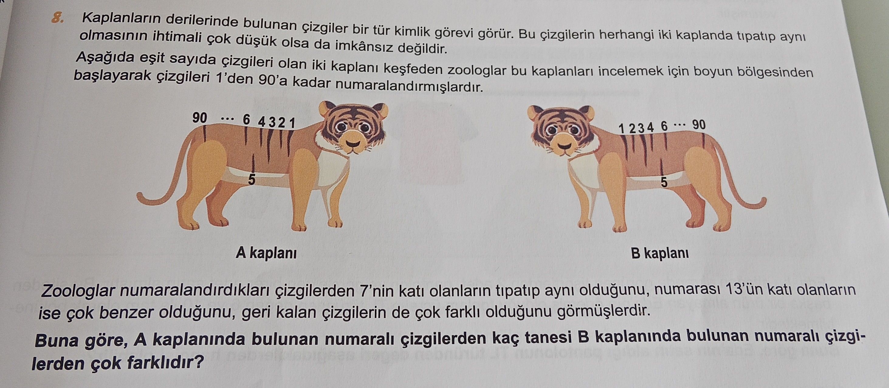 Kaplanların derilerinde bulunan çizgiler bir tür kimlik görevi görür. Bu çizgilerin herhangi iki