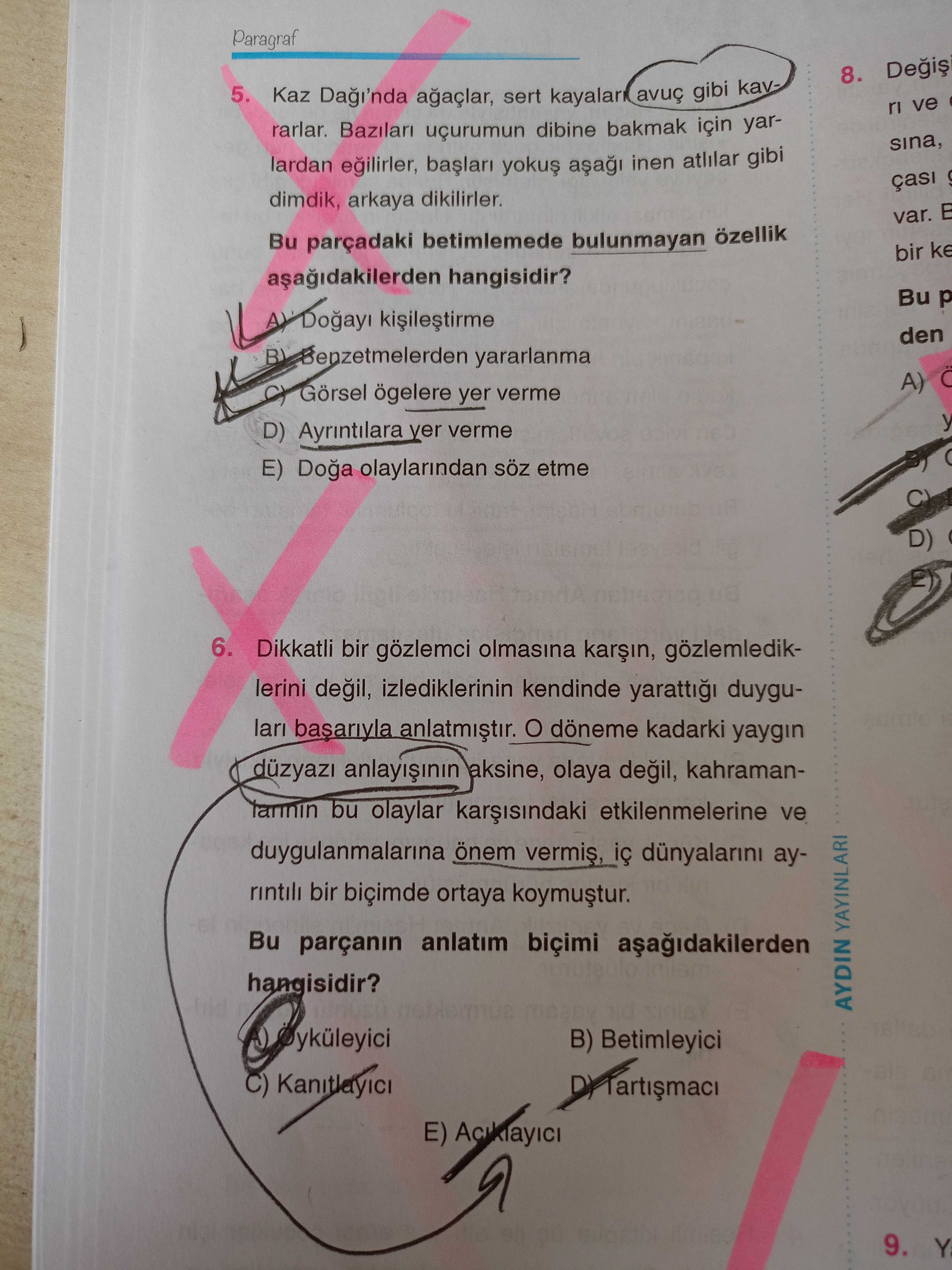 Kaz Dağı'nda ağaçlar, sert kayaları avuç gibi kavrarlar. Bazıları uçurumun dibine bakmak için