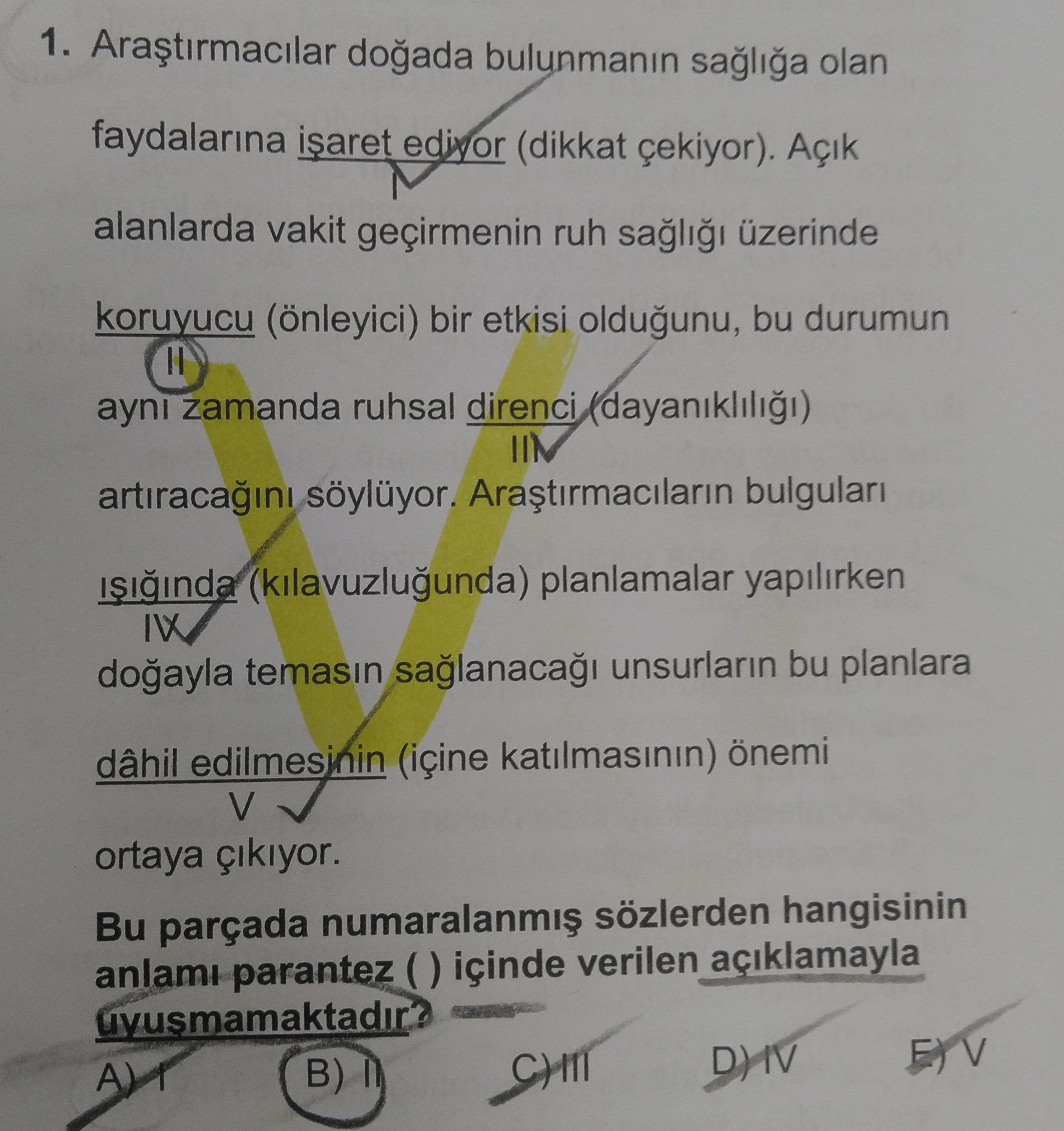Araştırmacılar doğada bulunmanın sağlığa olan faydalarına işaret ediyor (dikkat çekiyor). Açık