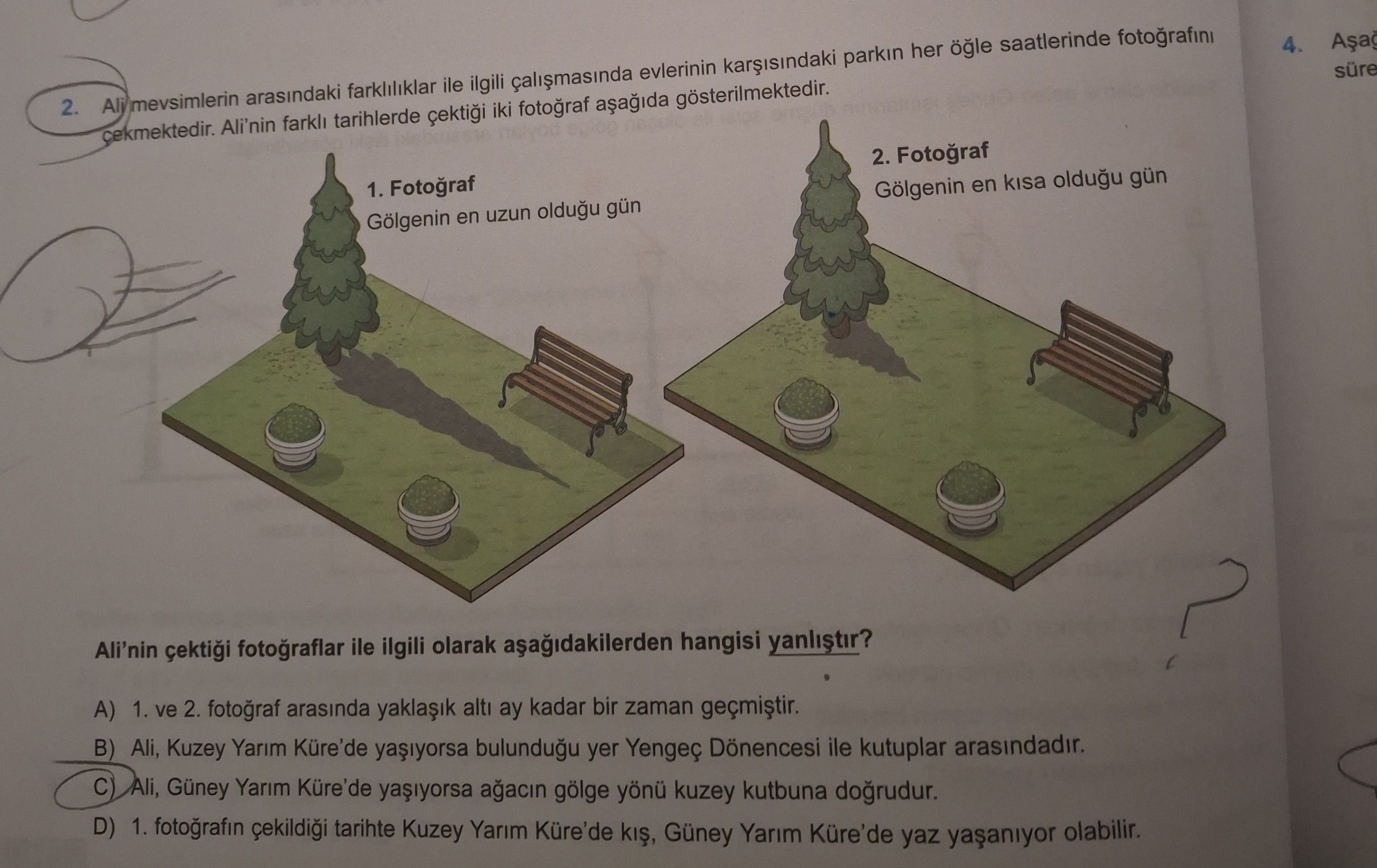 Ali mevsimlerin arasındaki farklılıklar ile ilgili çalışmasında evlerinin karşısındaki parkın her