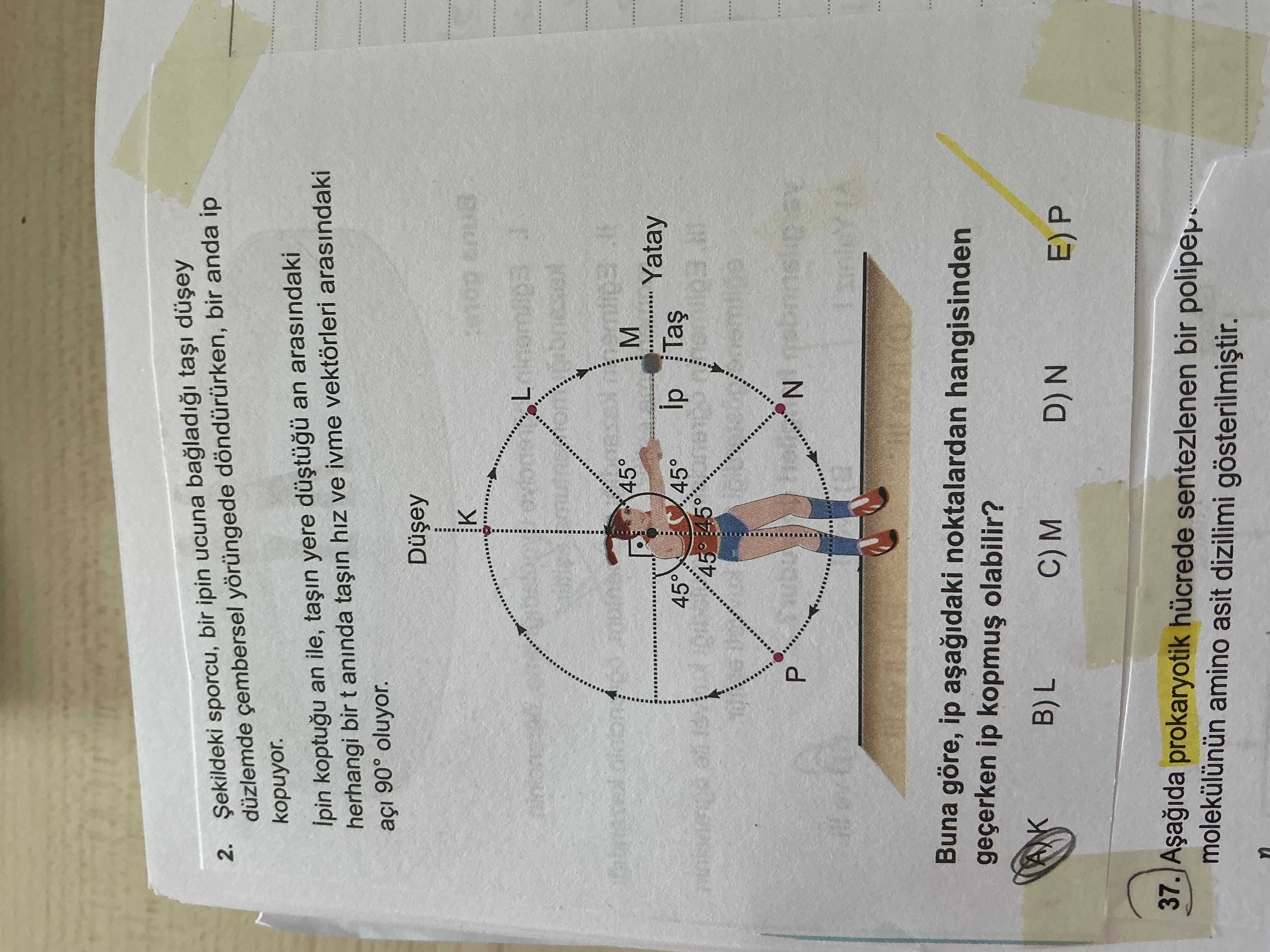 Şekildeki sporcu, bir ipin ucuna bağladığı taşı düşey düzlemde çembersel yörüngede döndürürken, bir