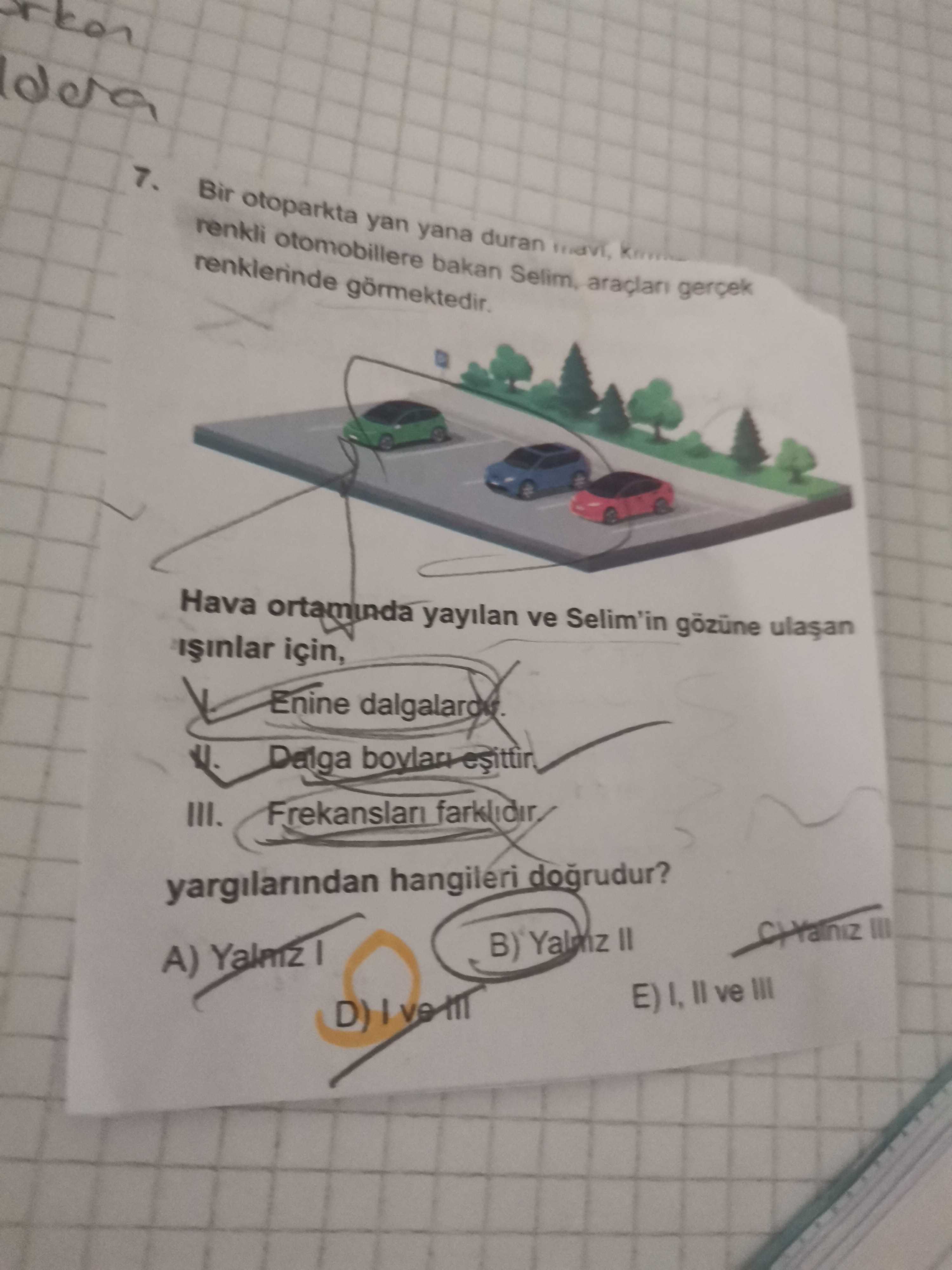 Bir otoparkta yan yana duran mavi, kır... renkli otomobillere bakan Selim, araçları gerçek