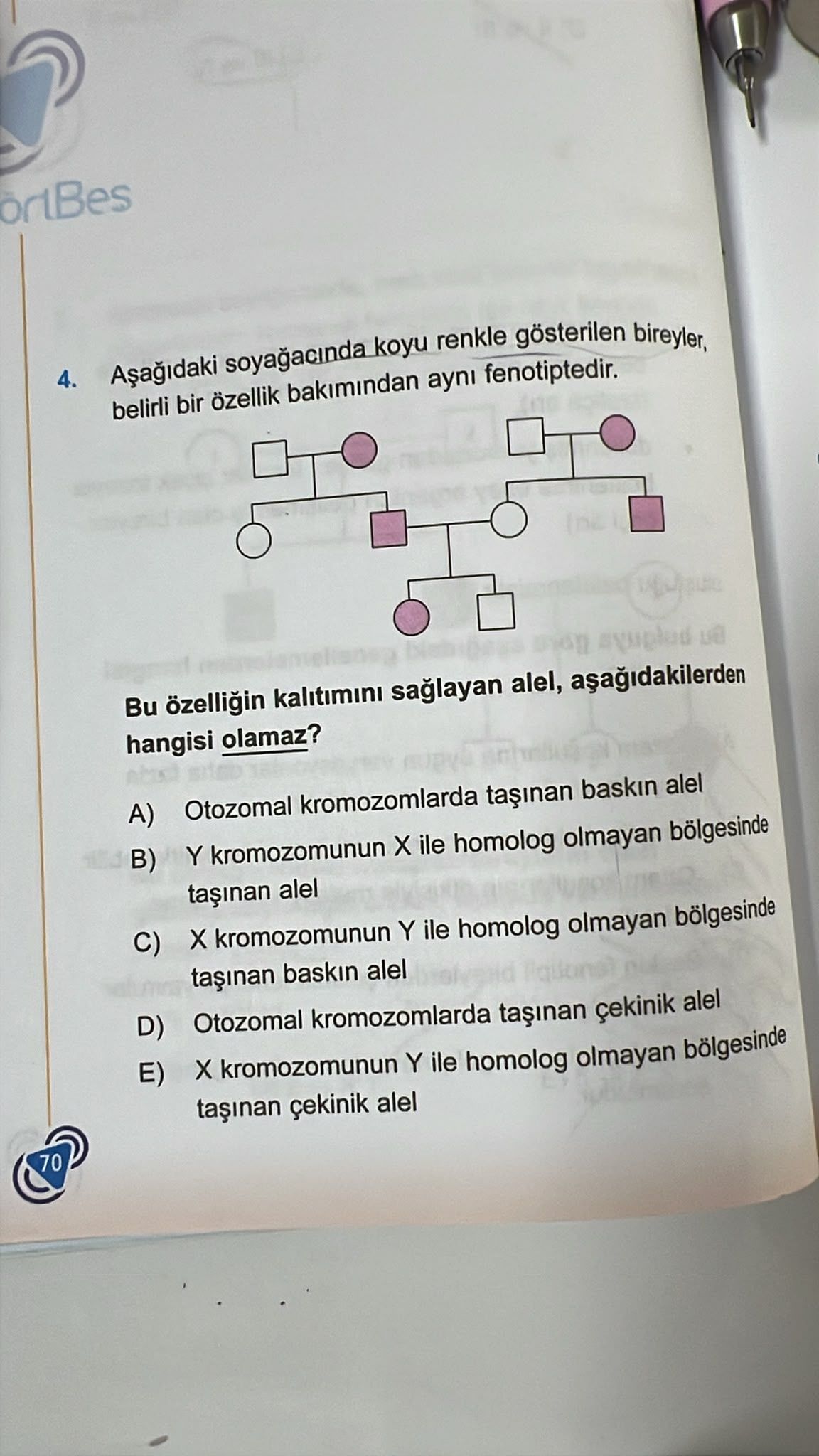 Aşağıdaki soyağacında koyu renkle gösterilen bireyler, belirli bir özellik bakımından aynı