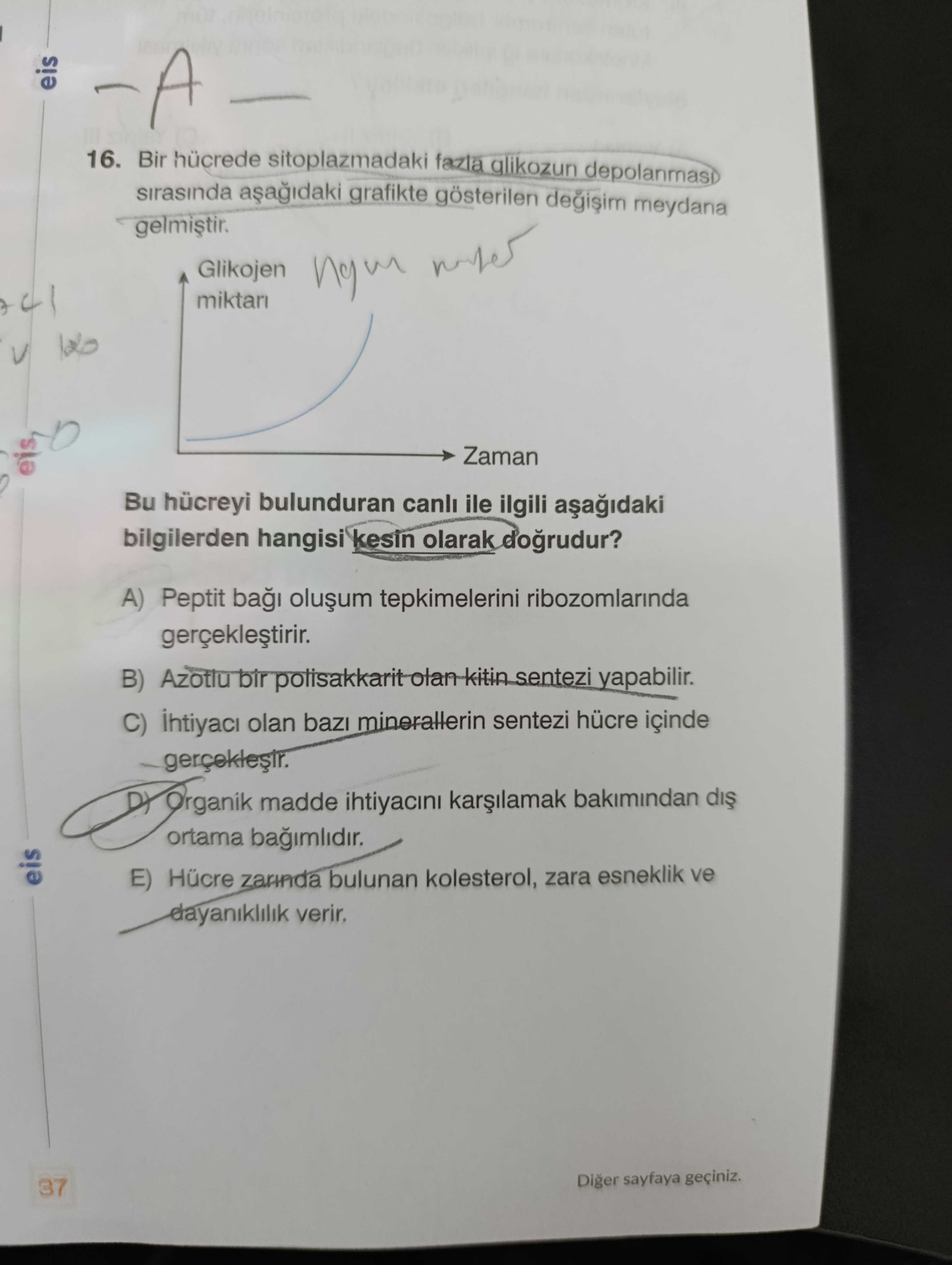 Bir hücrede sitoplazmadaki fazla glikozun depolanması sırasında aşağıdaki grafikte gösterilen