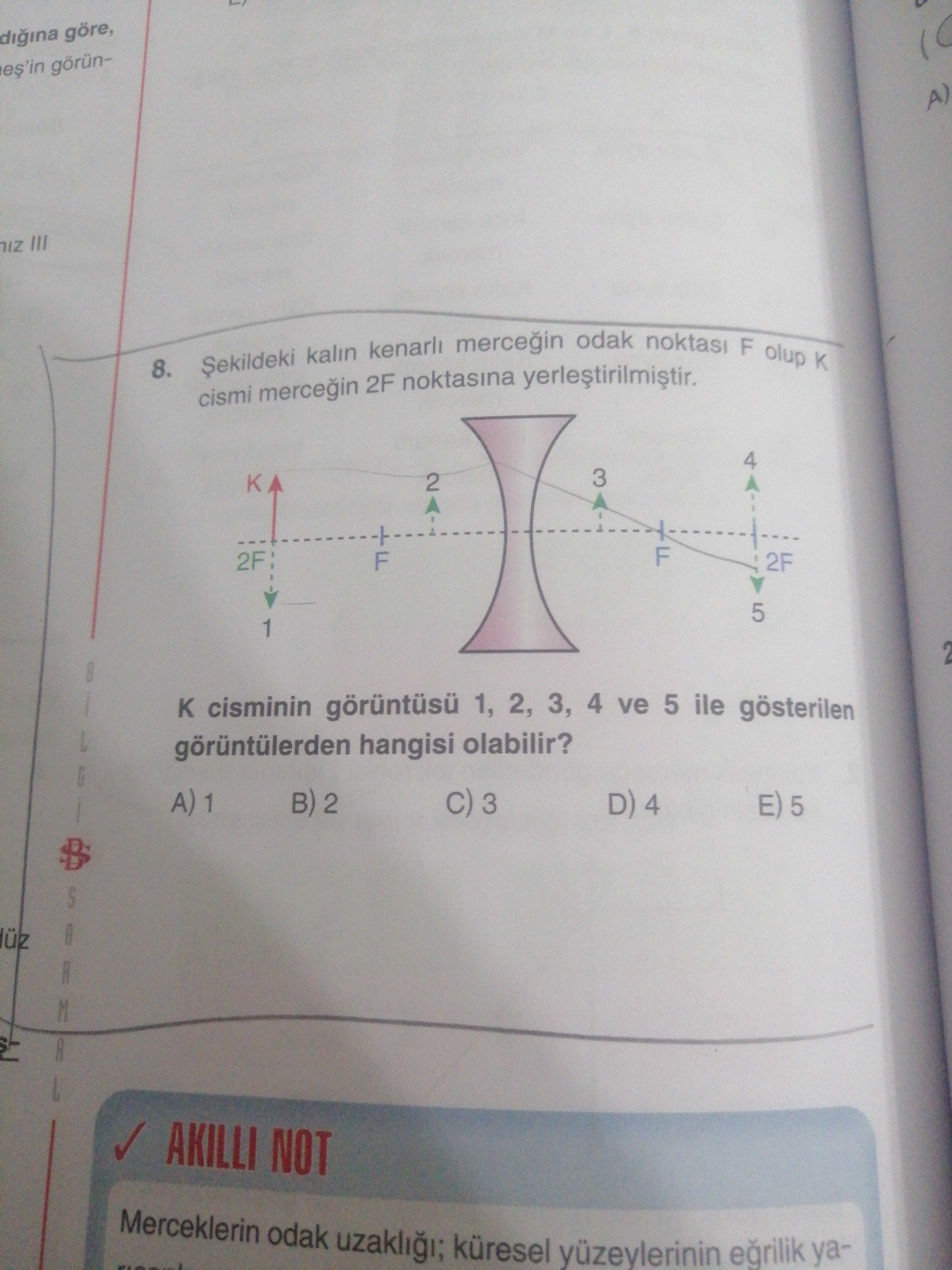 Fizik (12. Sınıf)