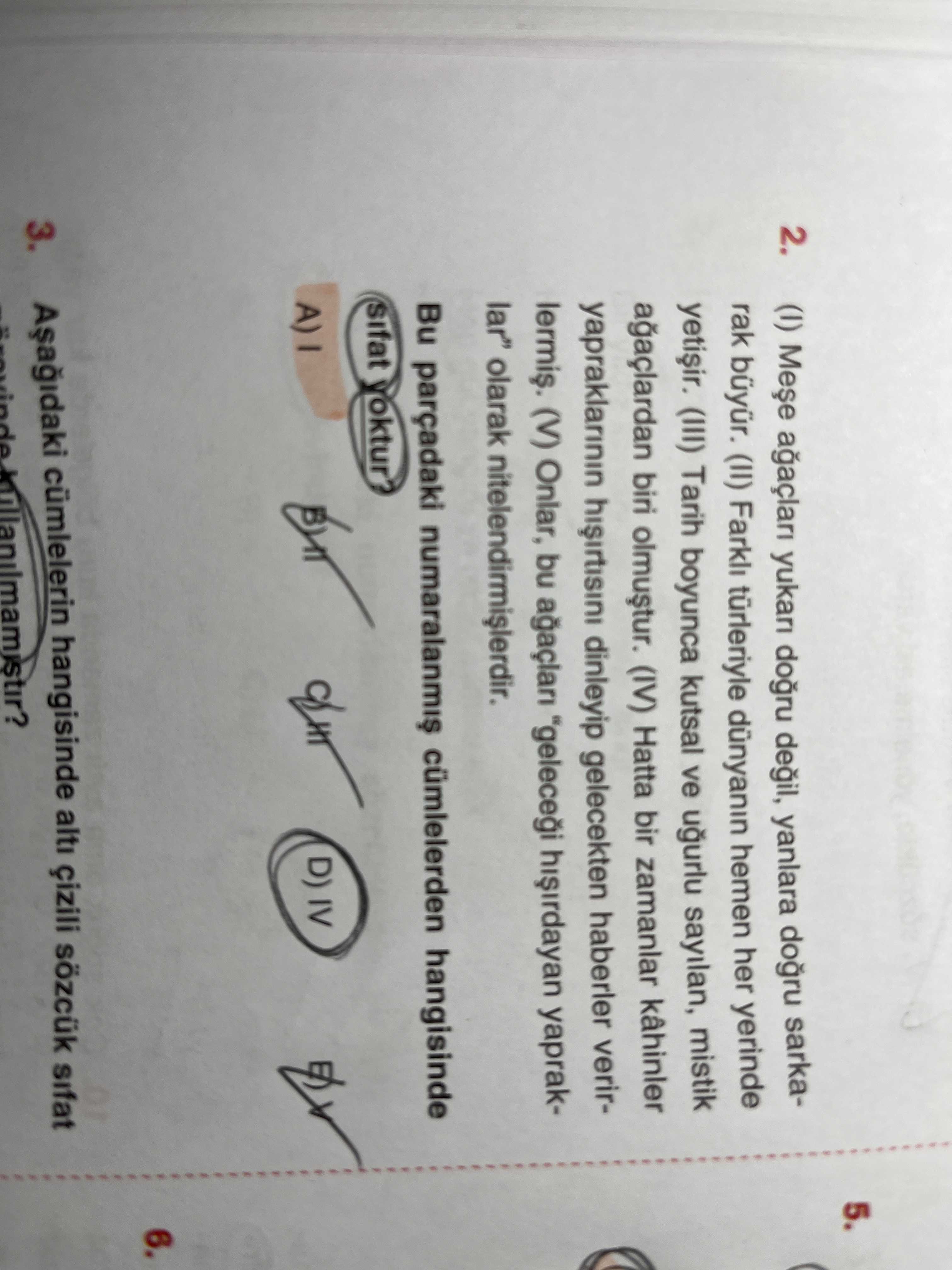 Türkçe (12. Sınıf)