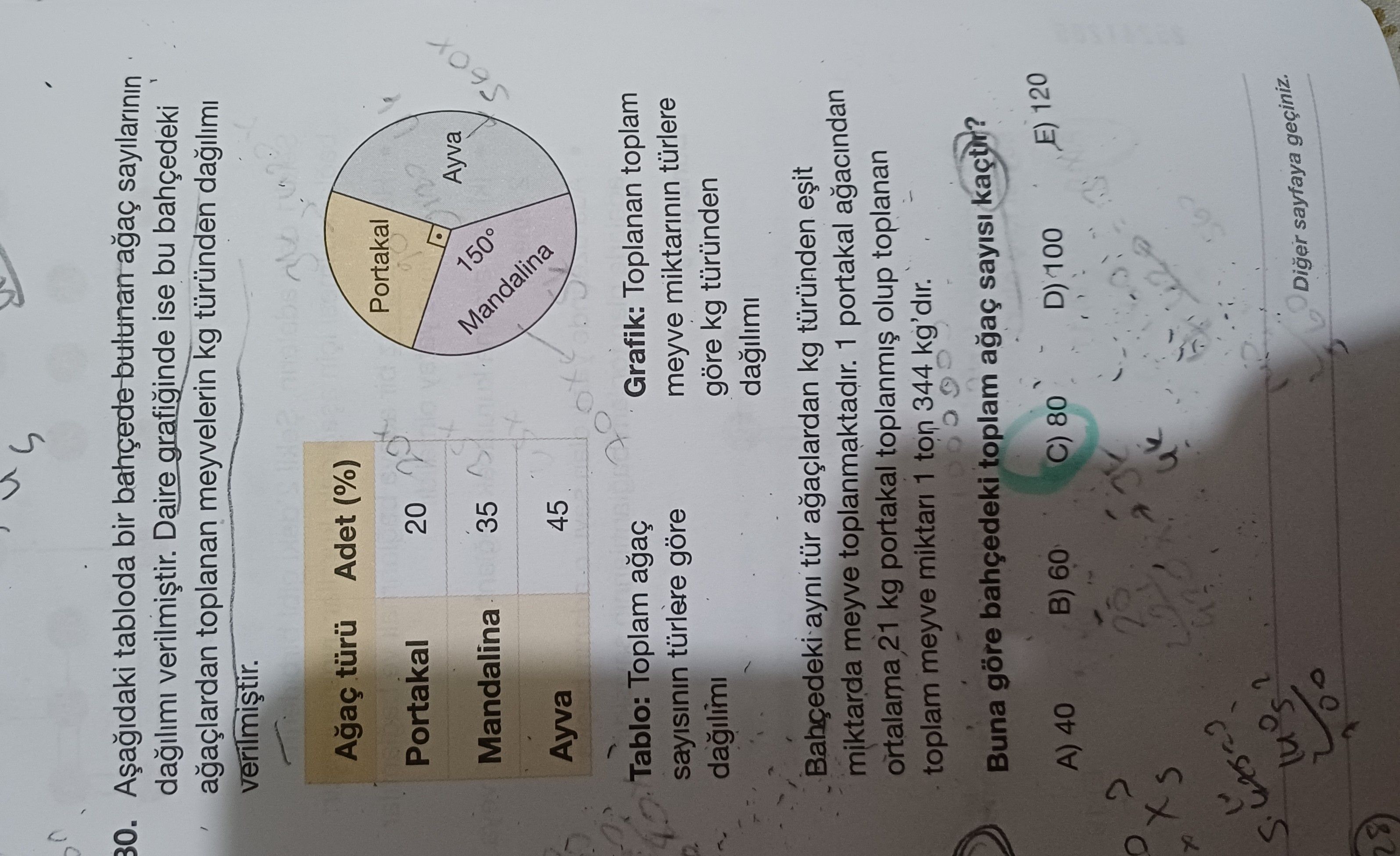 Aşağıdaki tabloda bir bahçede bulunan ağaç sayılarının dağılımı verilmiştir. Daire grafiğinde ise bu