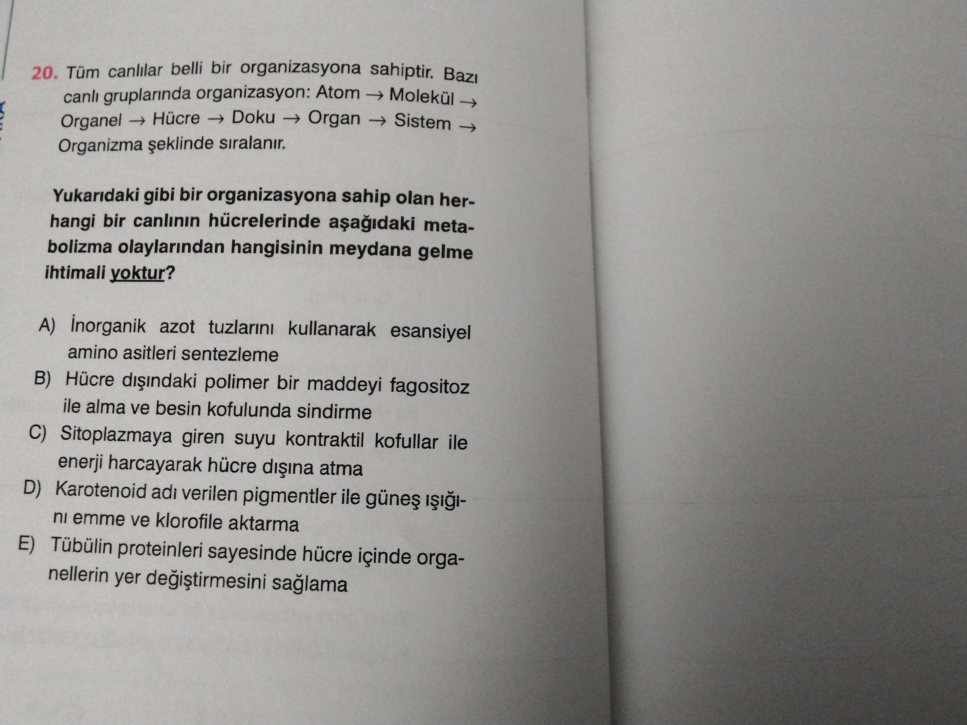 Biyoloji (11. Sınıf)