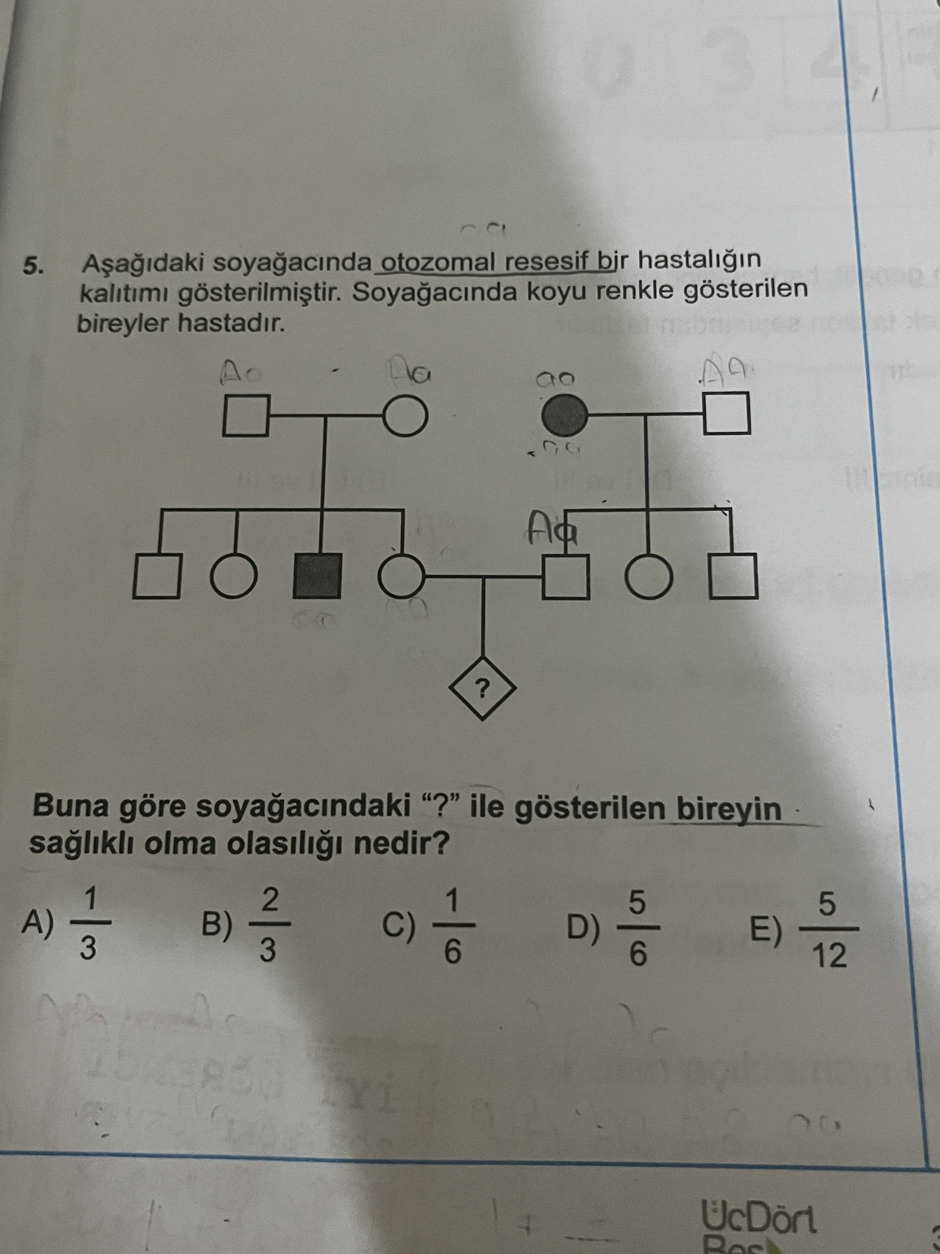 Aşağıdaki soyağacında otozomal resesif bir hastalığın kalıtımı gösterilmiştir. Soyağacında koyu
