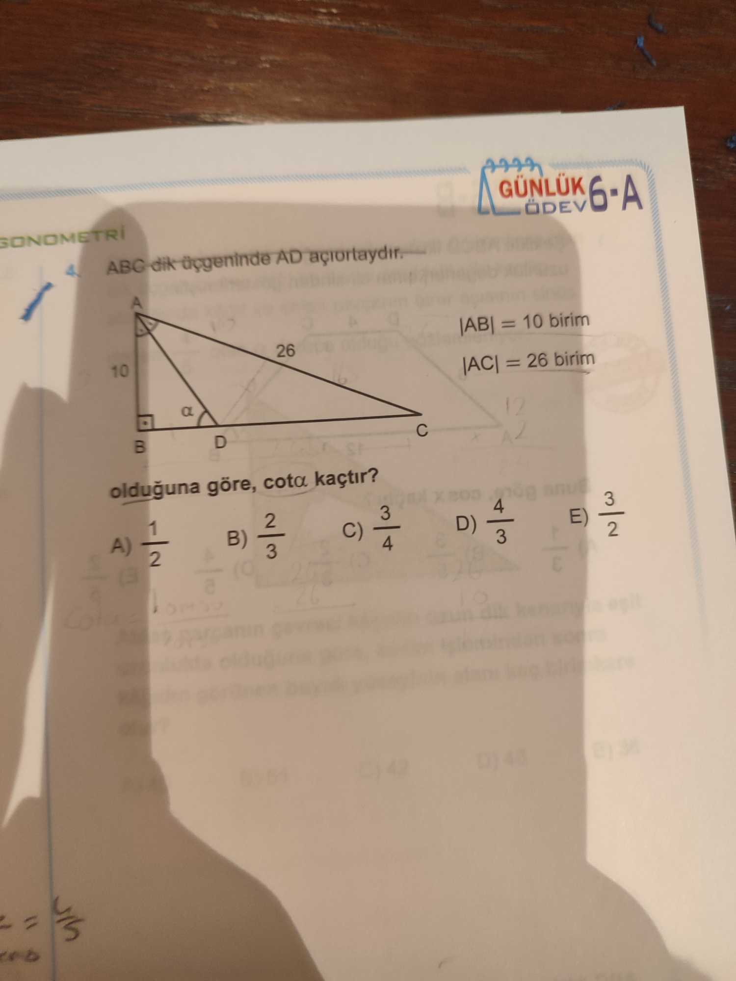 ABC dik üçgeninde AD açıortaydır. |AB| = 10 birim |AC| = 26 birim olduğuna göre, cotα kaçtır?