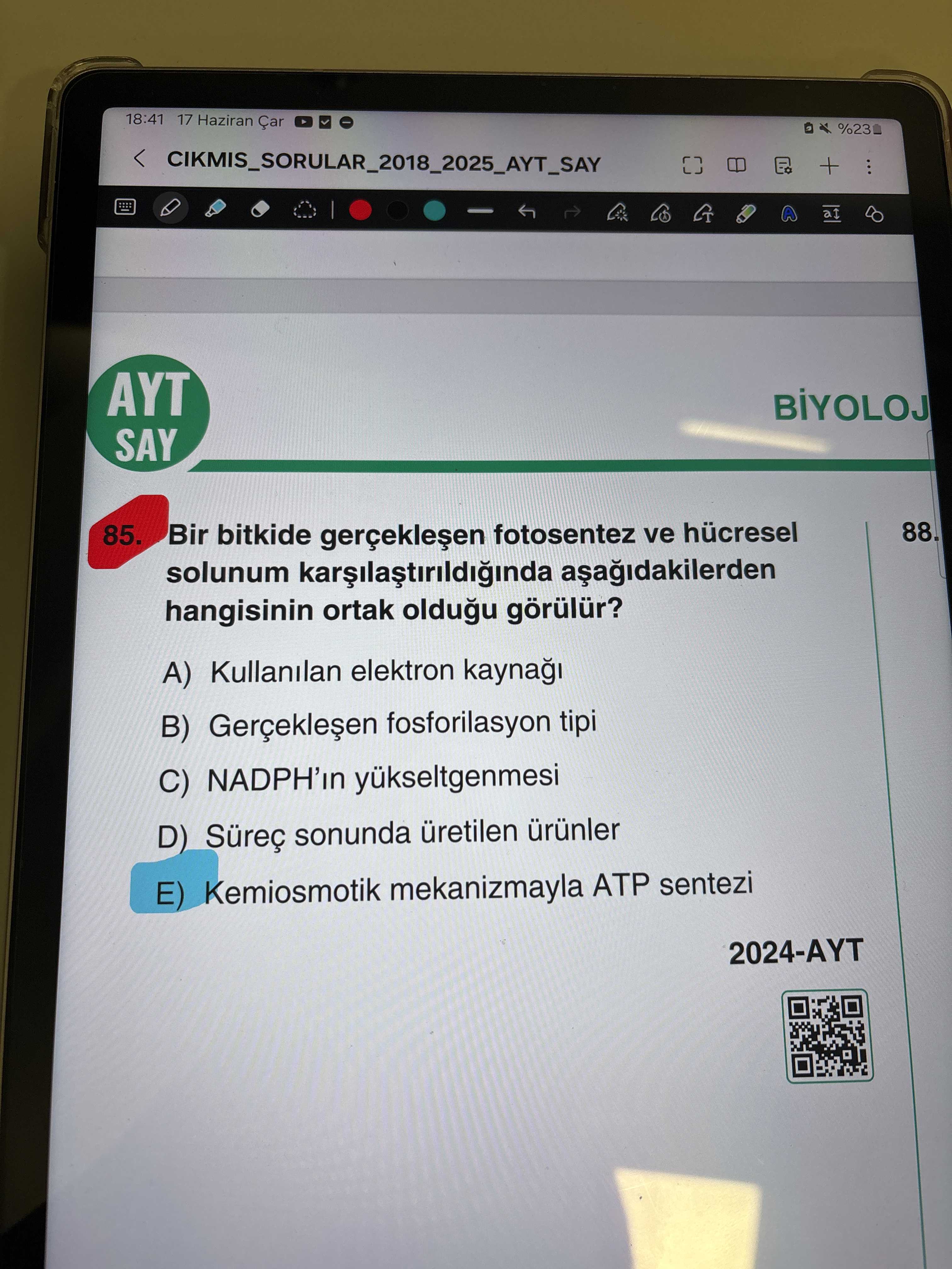 Bir bitkide gerçekleşen fotosentez ve hücresel solunum karşılaştırıldığında aşağıdakilerden