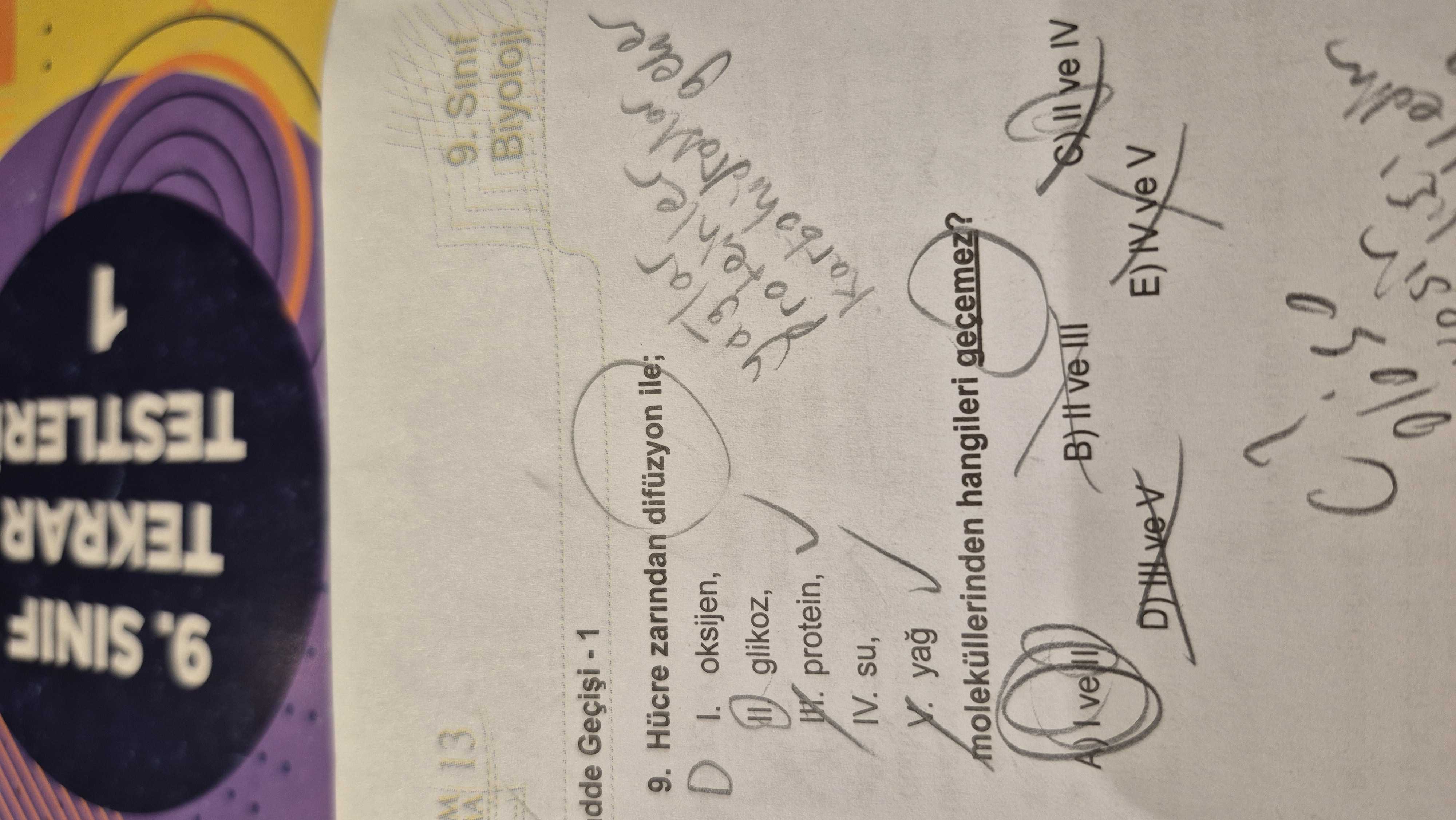 Hücre zarından difüzyon ile; I. oksijen, II. glikoz, III. protein, IV. su, V. yağ moleküllerinden