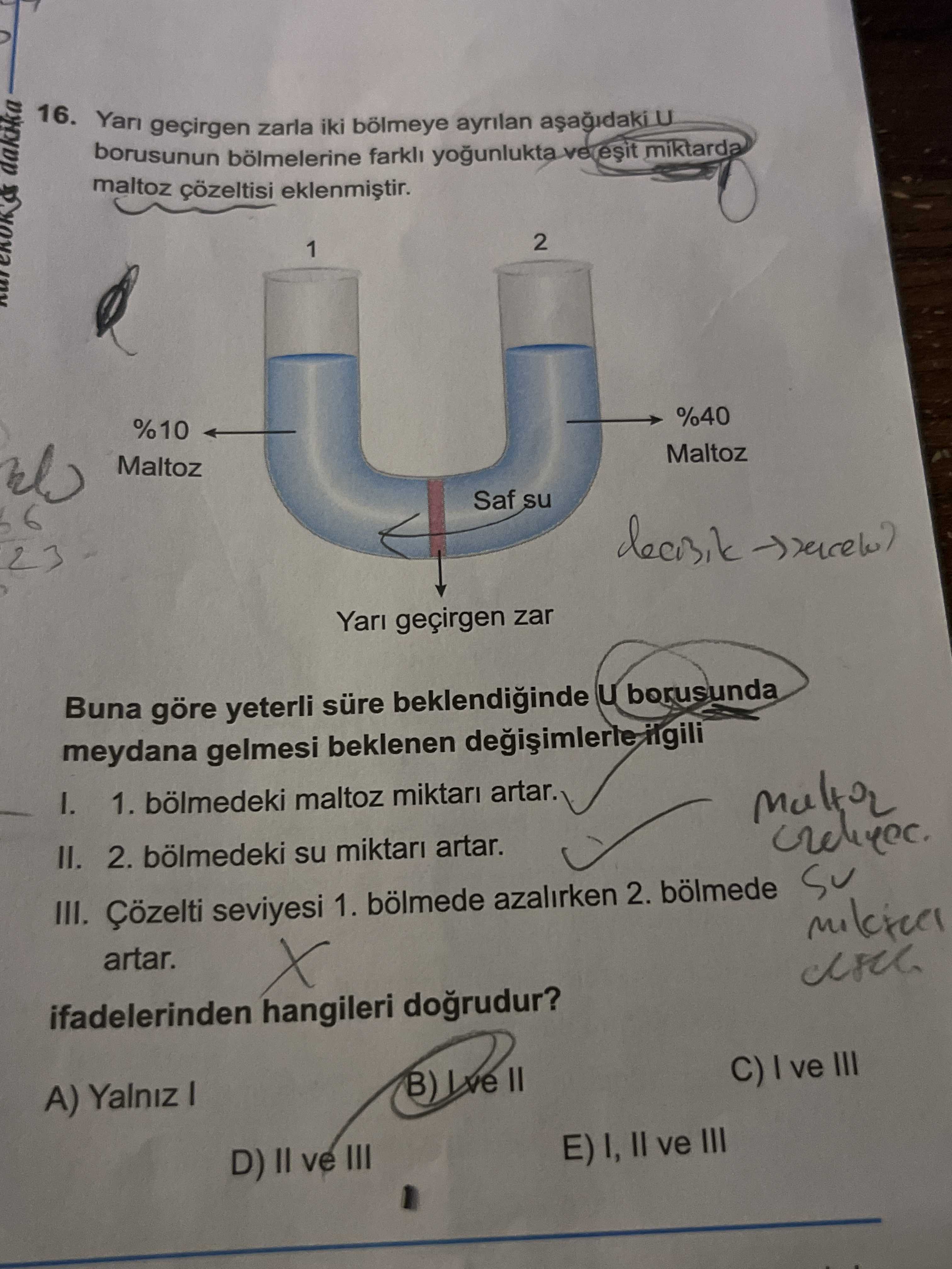 Yarı geçirgen zarla iki bölmeye ayrılan aşağıdaki U borusunun bölmelerine farklı yoğunlukta ve eşit