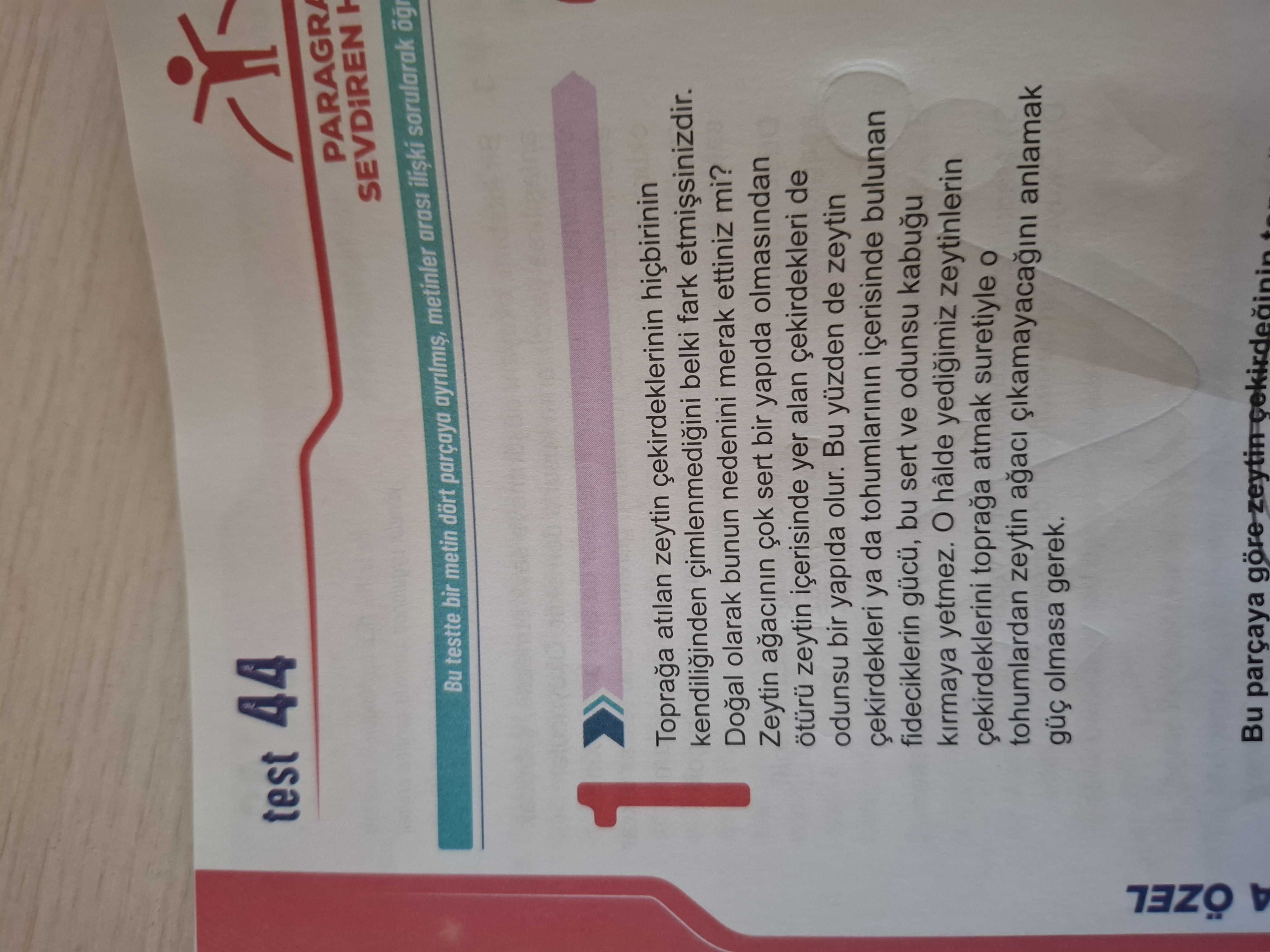 Toprağa atılan zeytin çekirdeklerinin hiçbirinin kendiliğinden çimlenmediğini belki fark