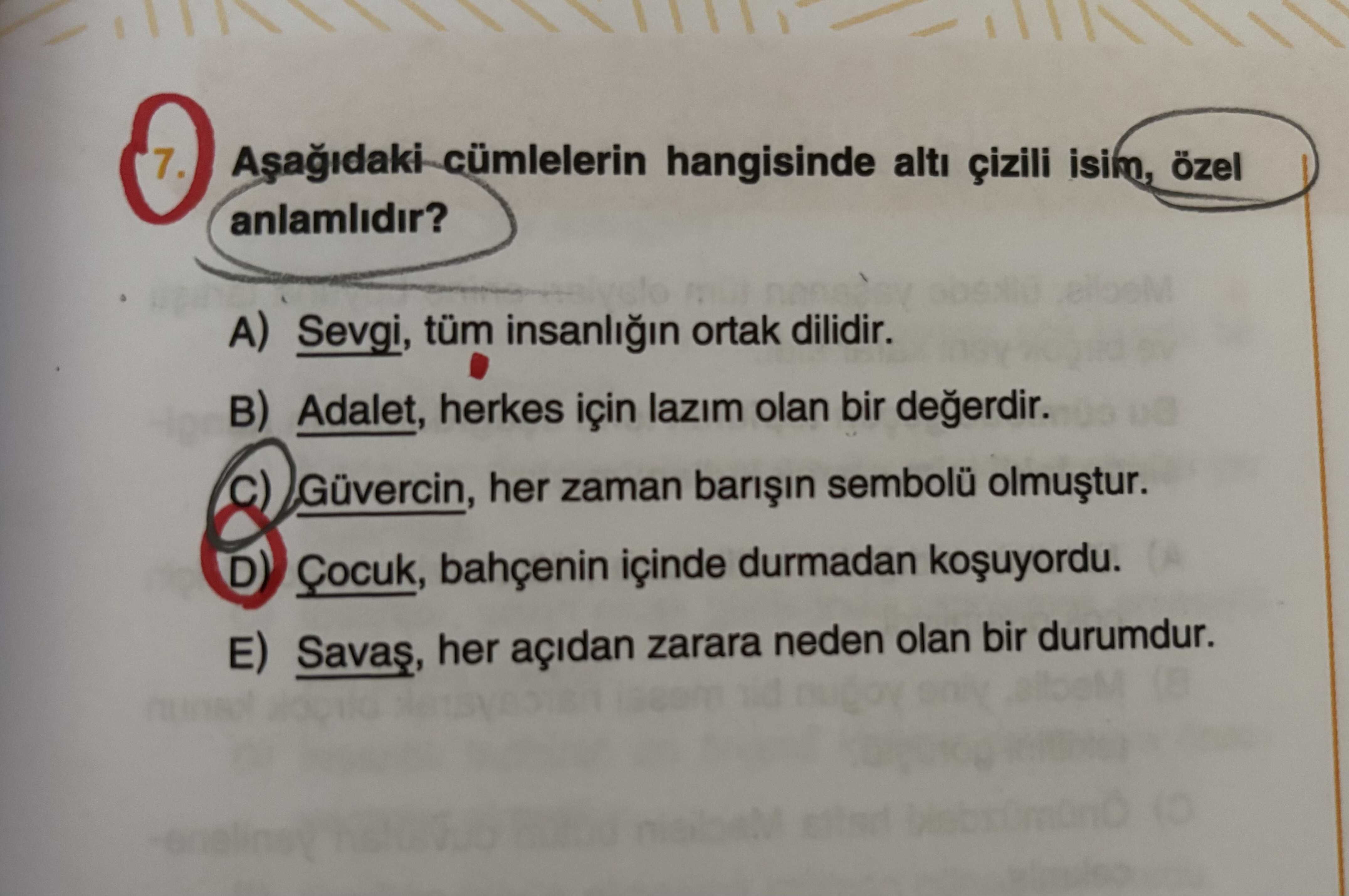 Aşağıdaki cümlelerin hangisinde altı çizili isim, özel anlamlıdır?
