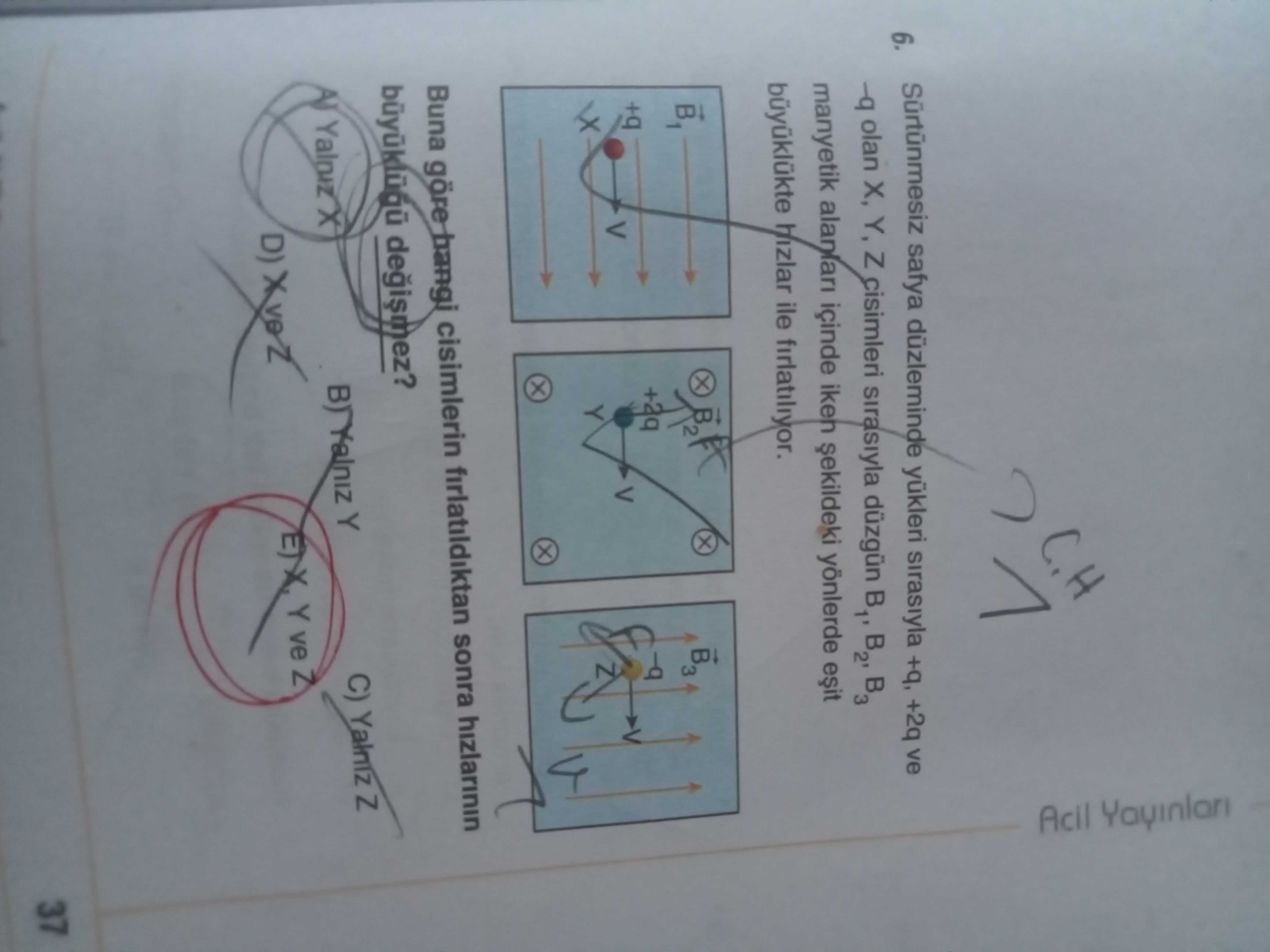 Sürtünmesiz safya düzleminde yükleri sırasıyla +q, +2q ve -q olan X, Y, Z cisimleri sırasıyla düzgün