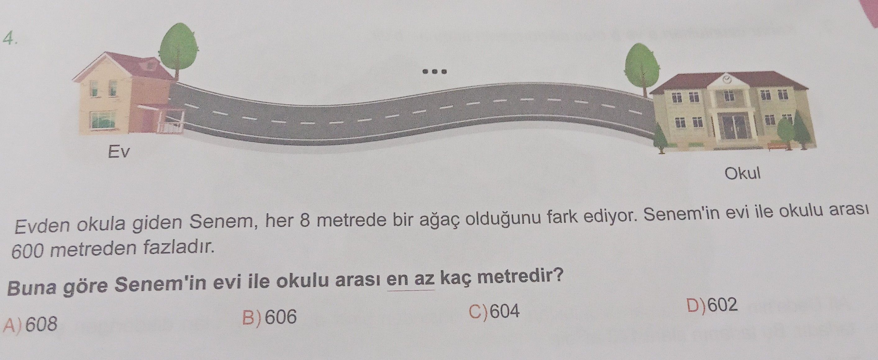Evden okula giden Senem, her 8 metrede bir ağaç olduğunu fark ediyor. Senem'in evi ile okulu arası