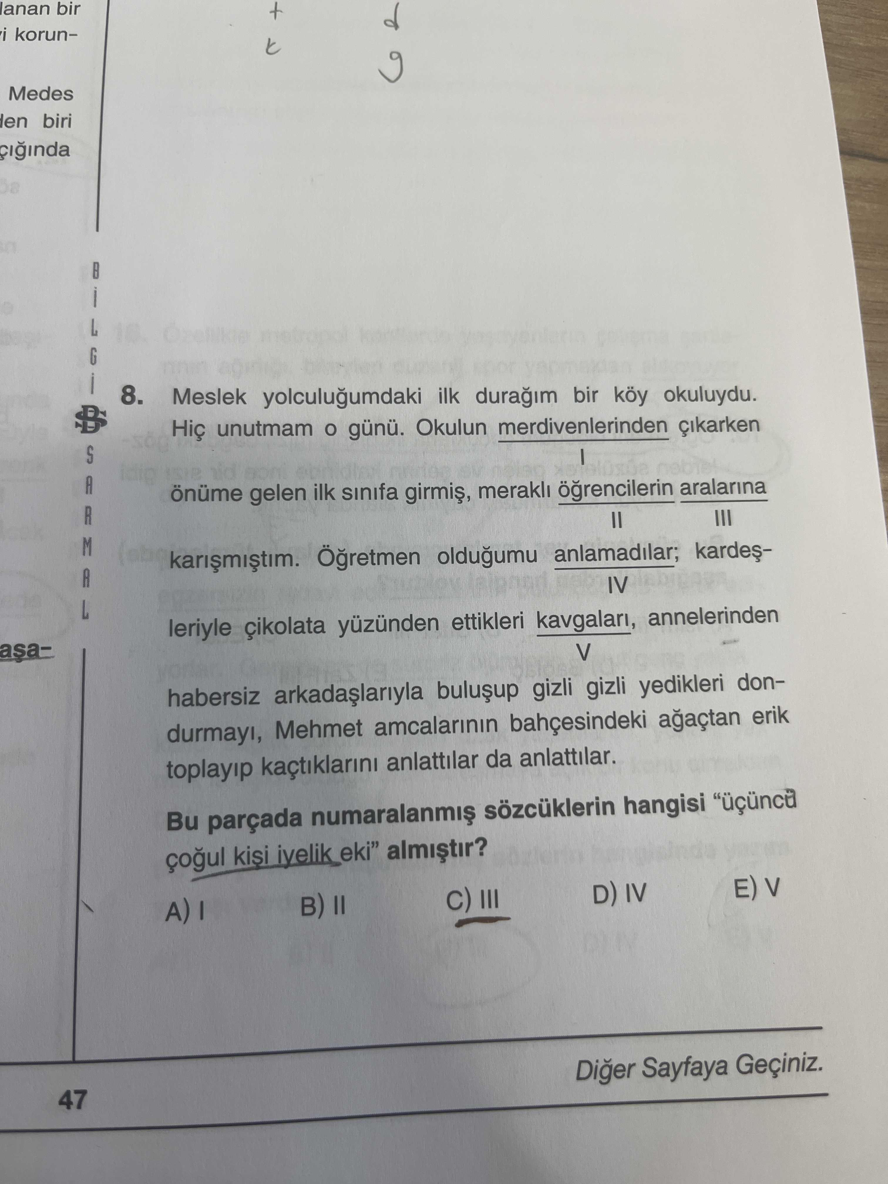 Türkçe (Mezun)