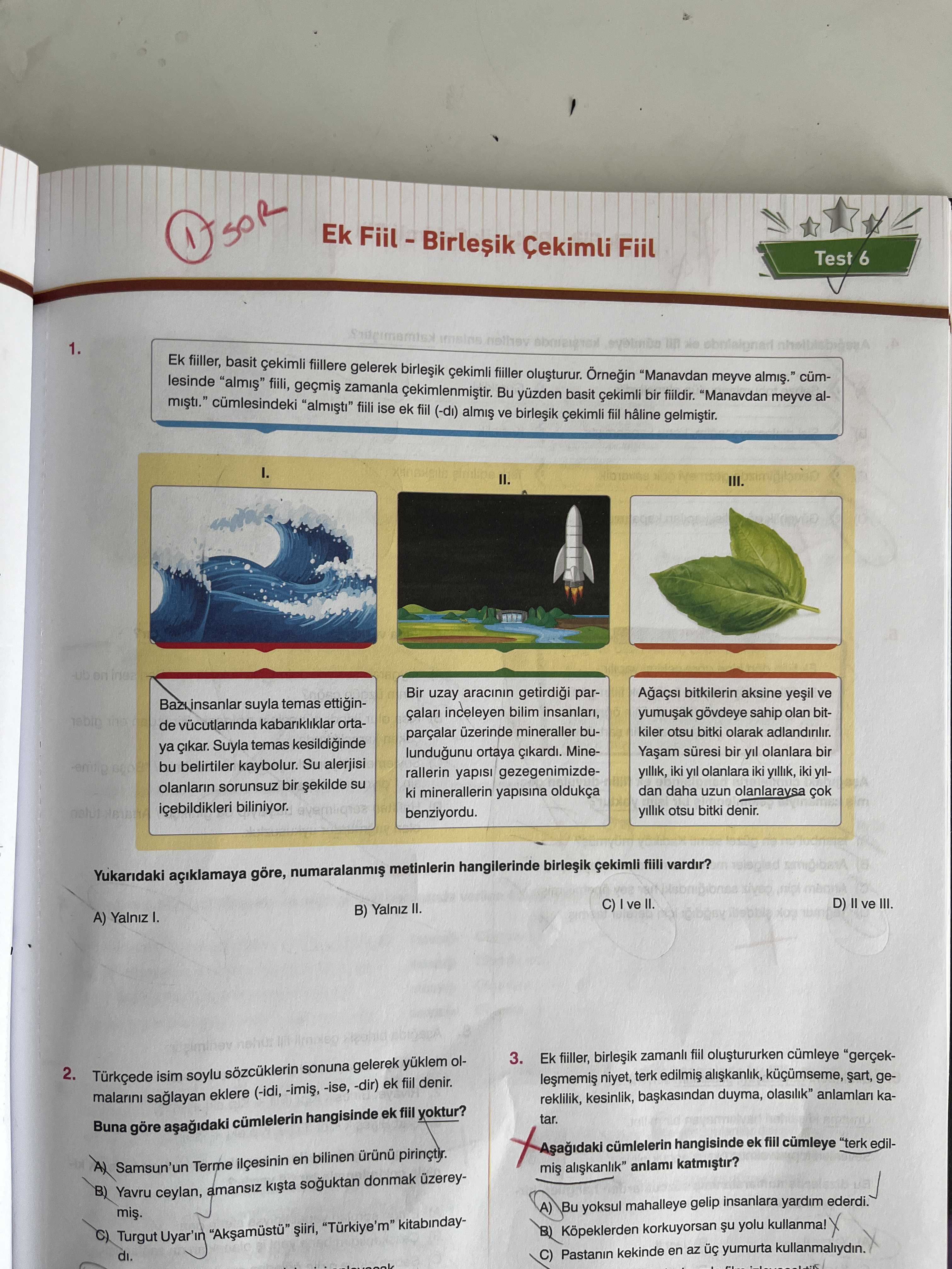 Türkçe (7. Sınıf)