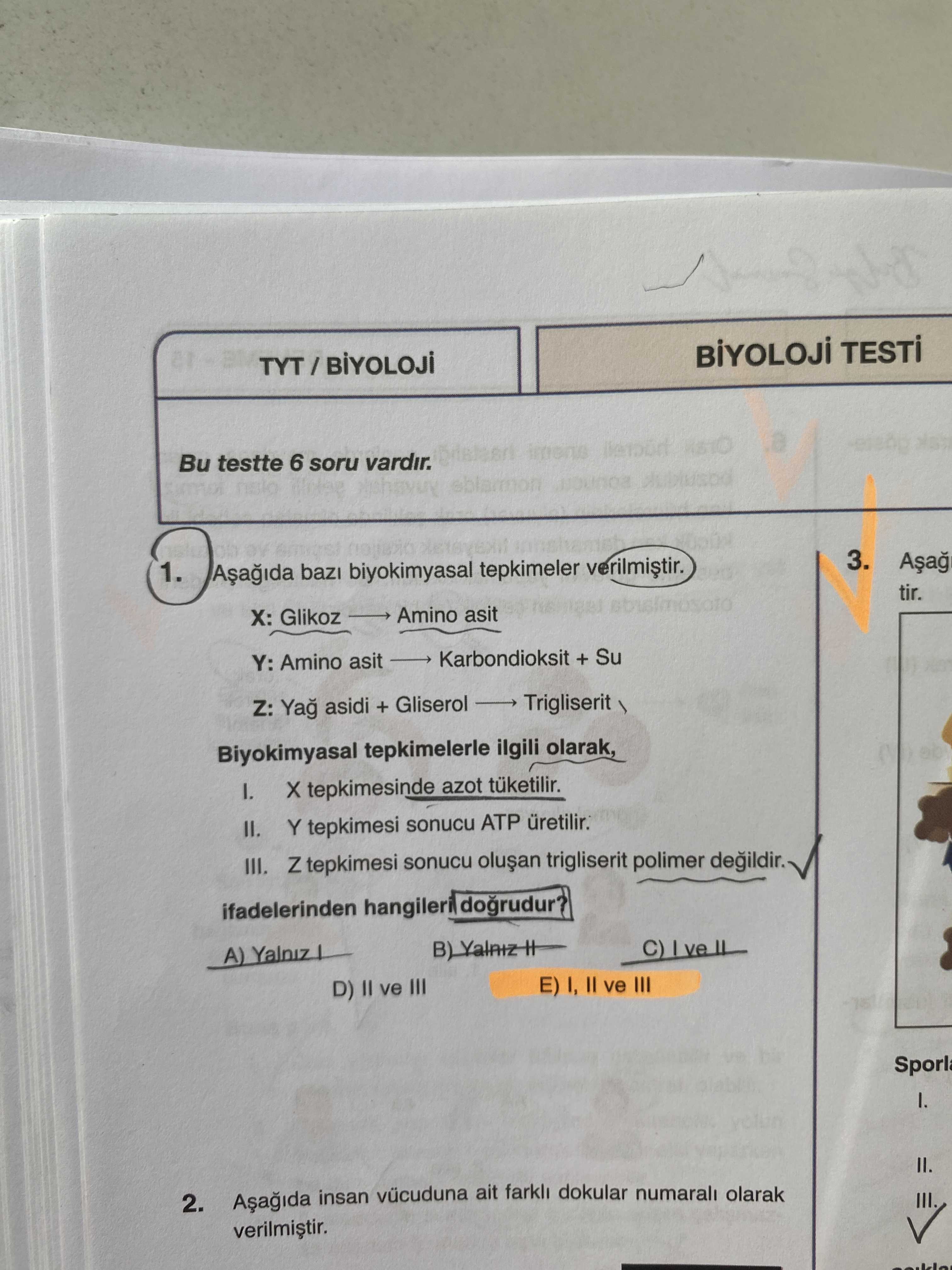 TESTi Bu testte 6 soru vardir. 3. 1. baz biyokimyasal tepkimeler tir. Amino asit X: Glikoz Karbondioksit + Su Y: Amino asit Z: asidi + Gliserol Biyokimyasal tepkimelerle ilgili olarak, tepkimesinde azot Y tepkimesi sonucu ATP III. Z tepkimesi sonucu trigliserit polimer degildir. ifadelerinden hangileri dogrudur. C) A) ve III D) ve III 2. insan ait farkli dokular numarali olarak TESTi Bu testte 6 soru vardir. insan ait farkli dokular numarali olarak. ?? Model.Question.title