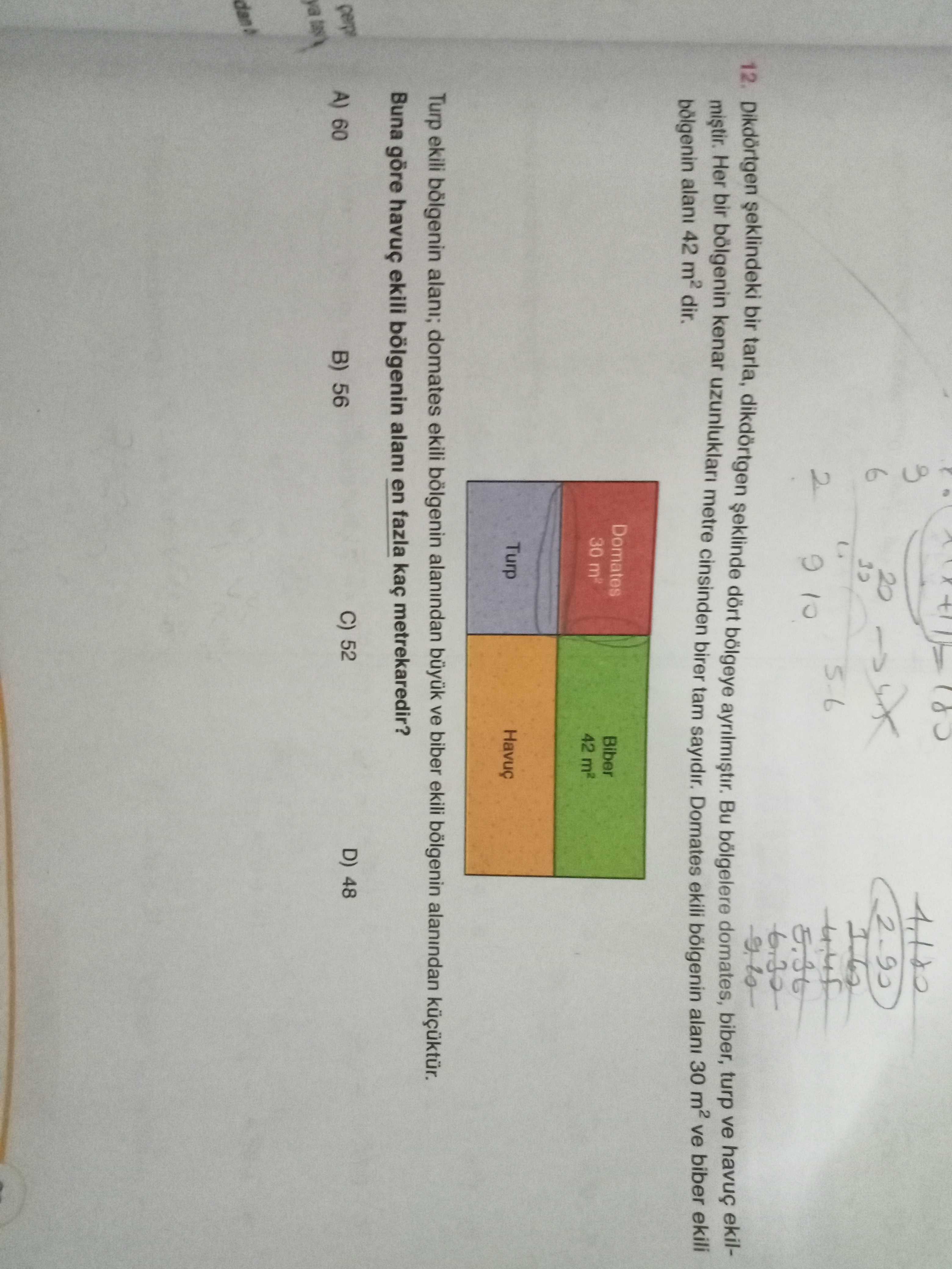 Matematik (8. Sınıf)