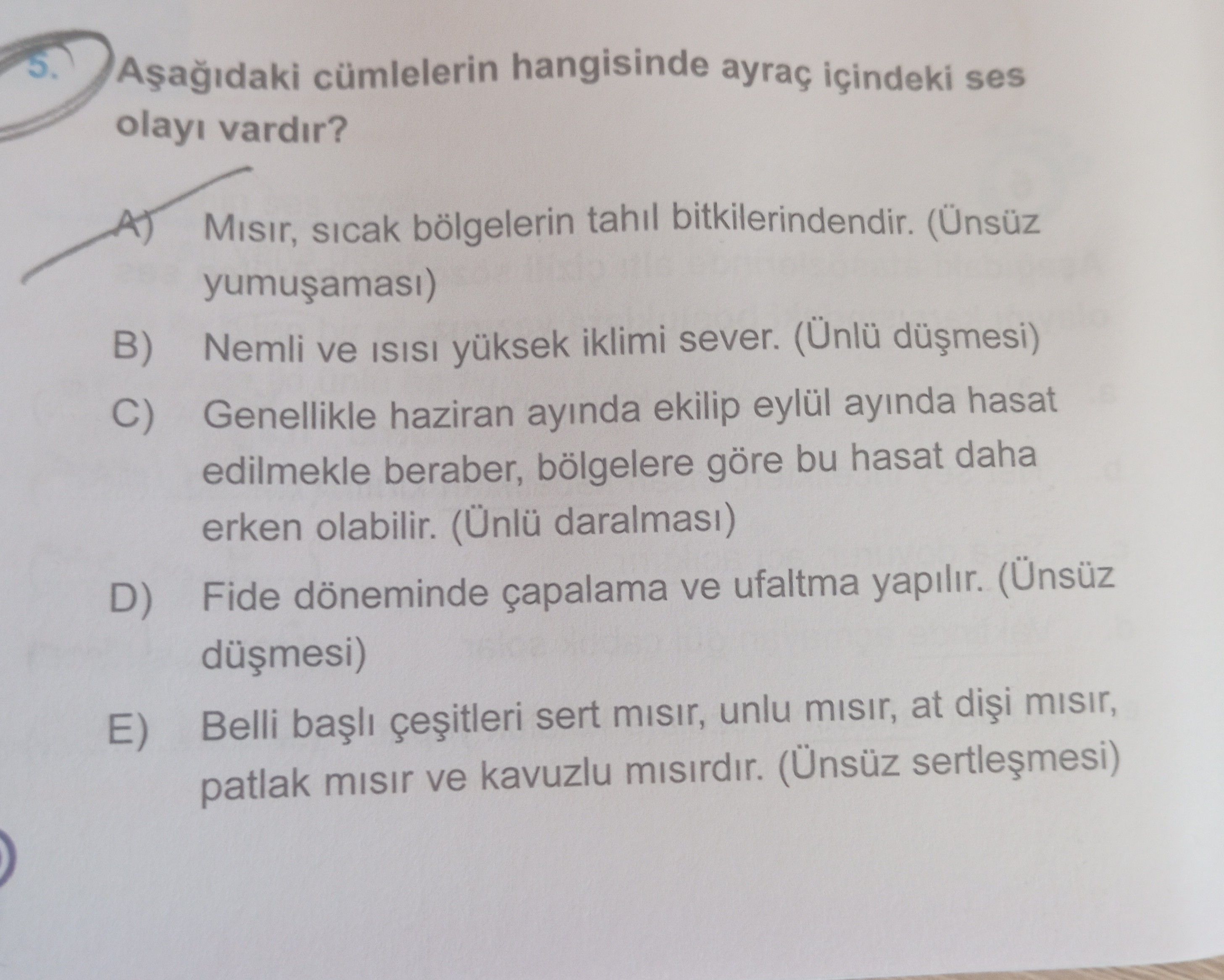 Aşağıdaki cümlelerin hangisinde ayraç içindeki ses olayı vardır?