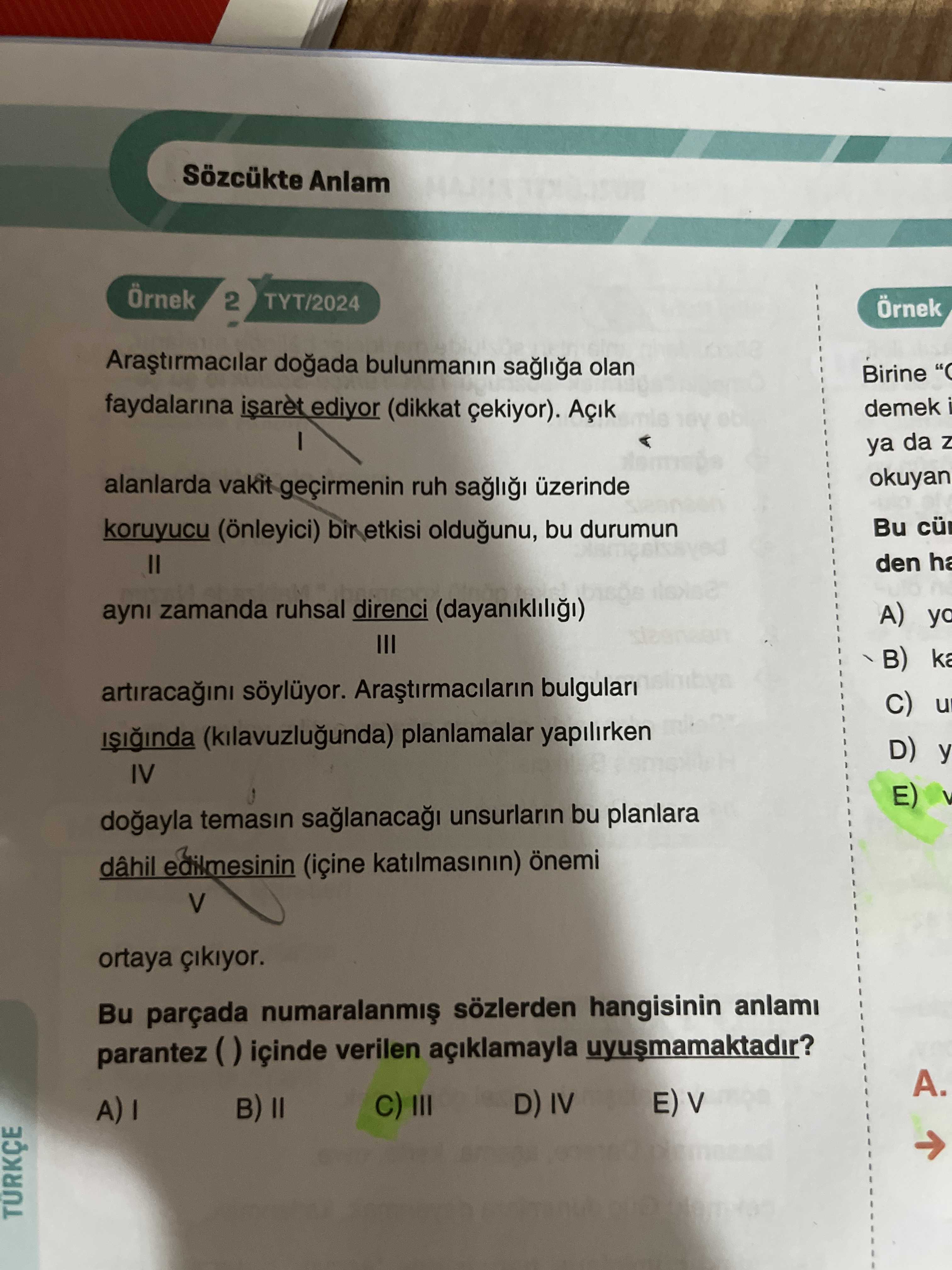 Türkçe (Mezun)