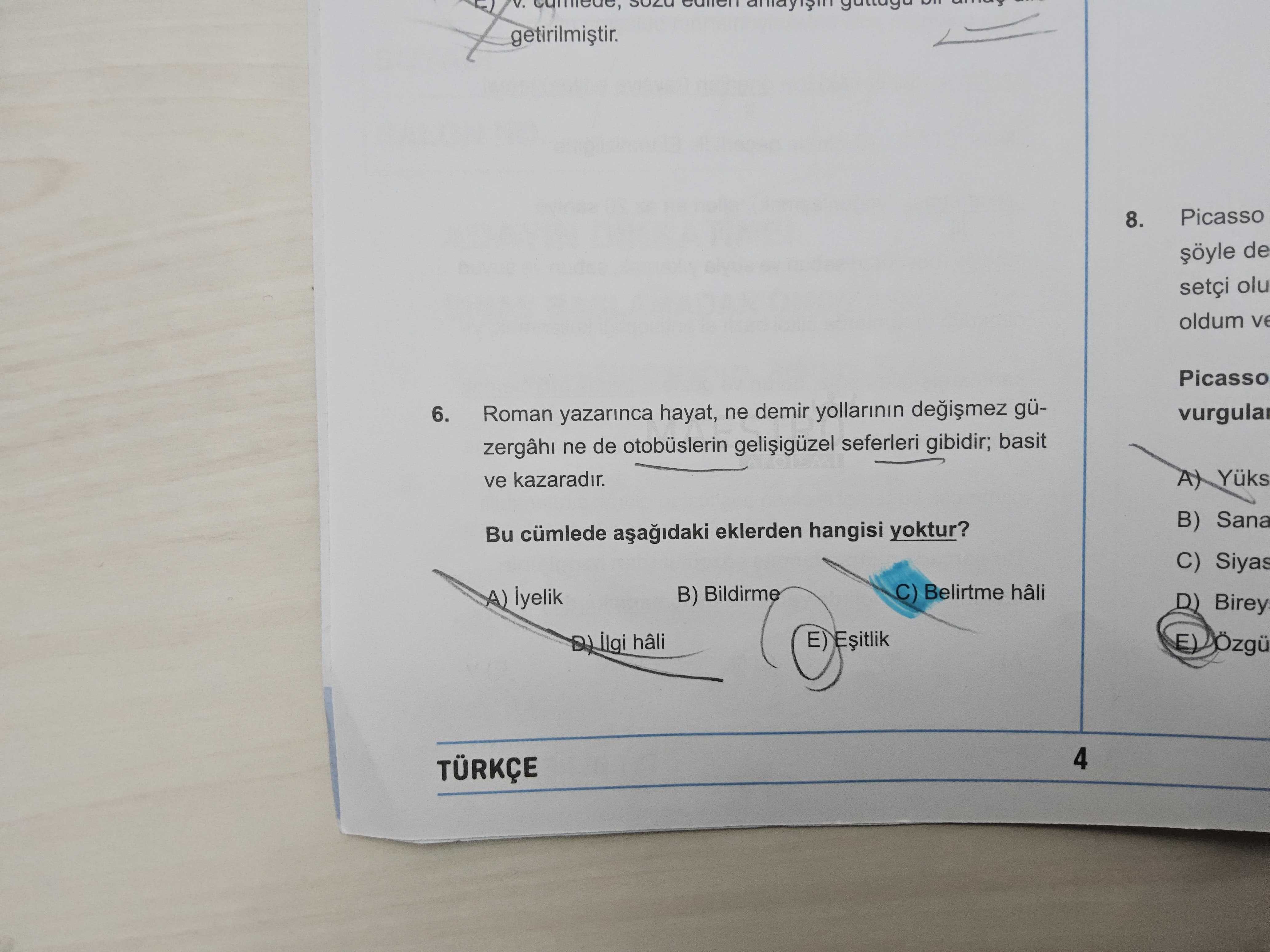 Türkçe (11. Sınıf)