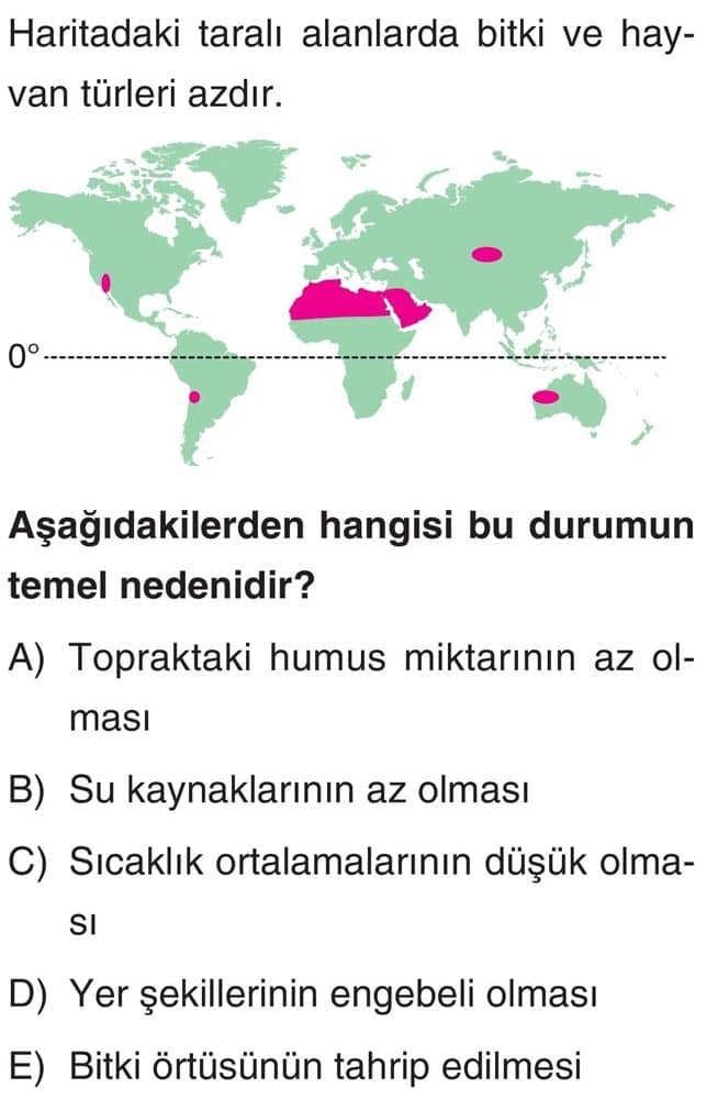 Coğrafya (Mezun)