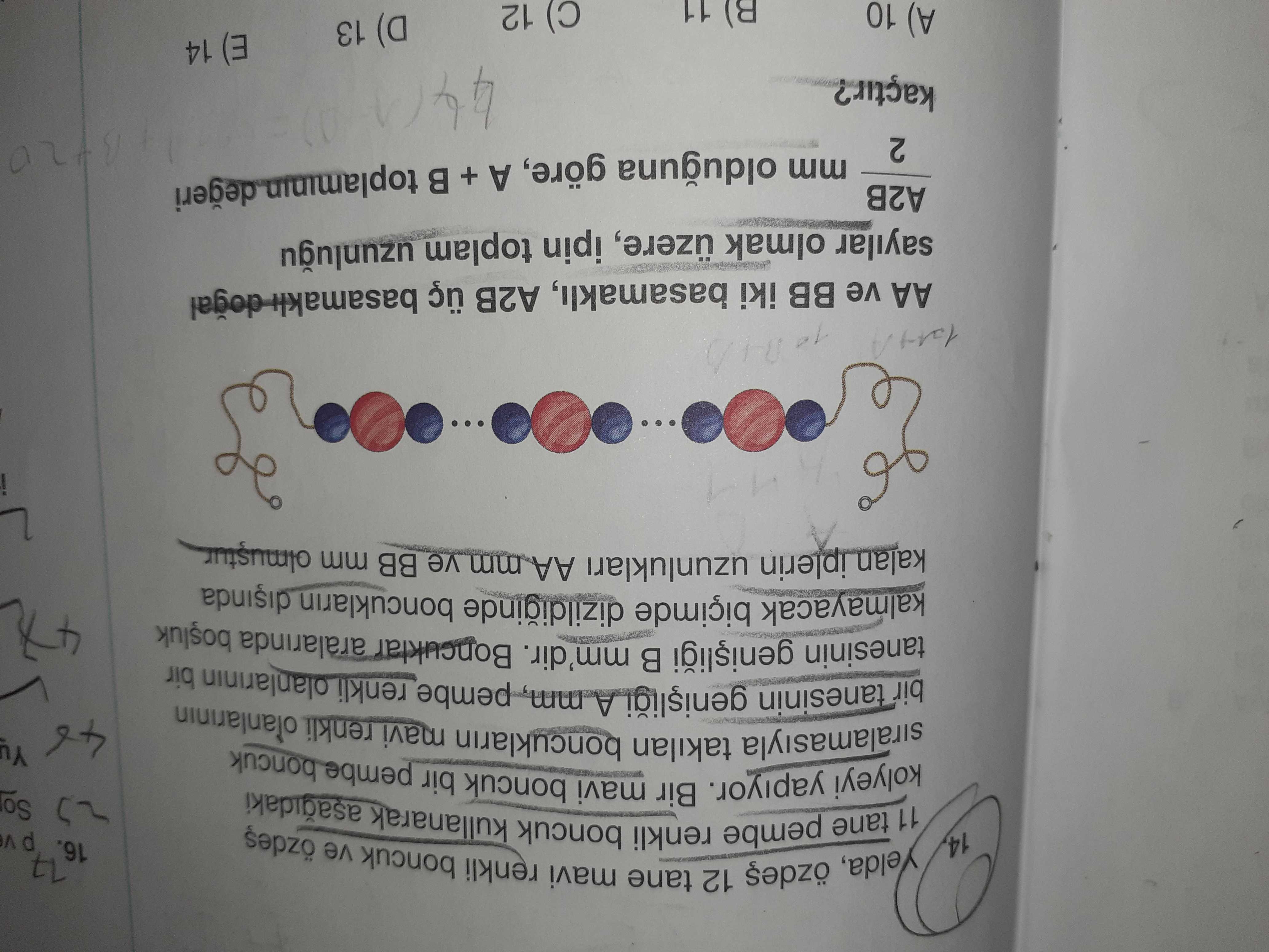 Matematik (12. Sınıf)