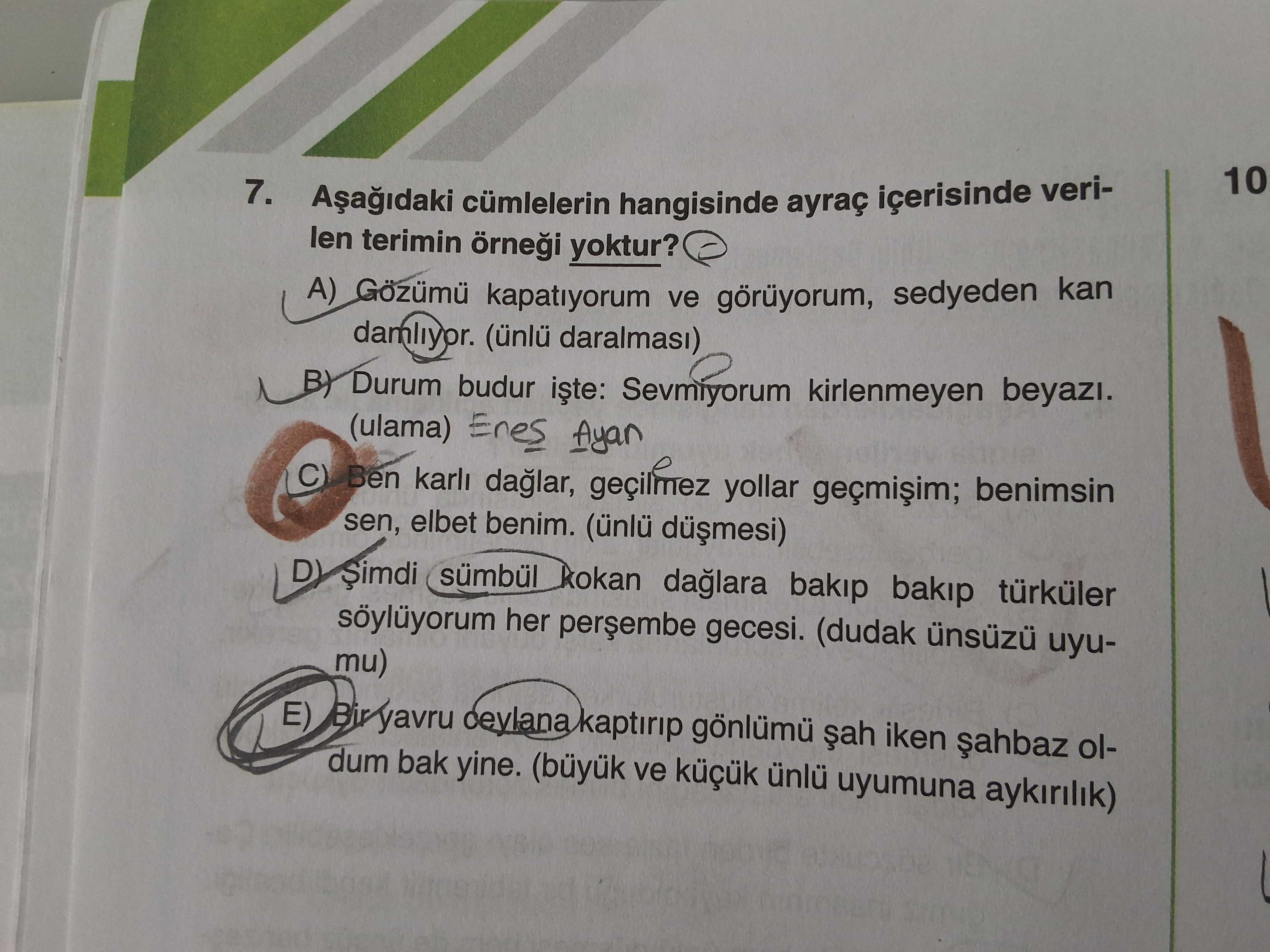 Türkçe (12. Sınıf)