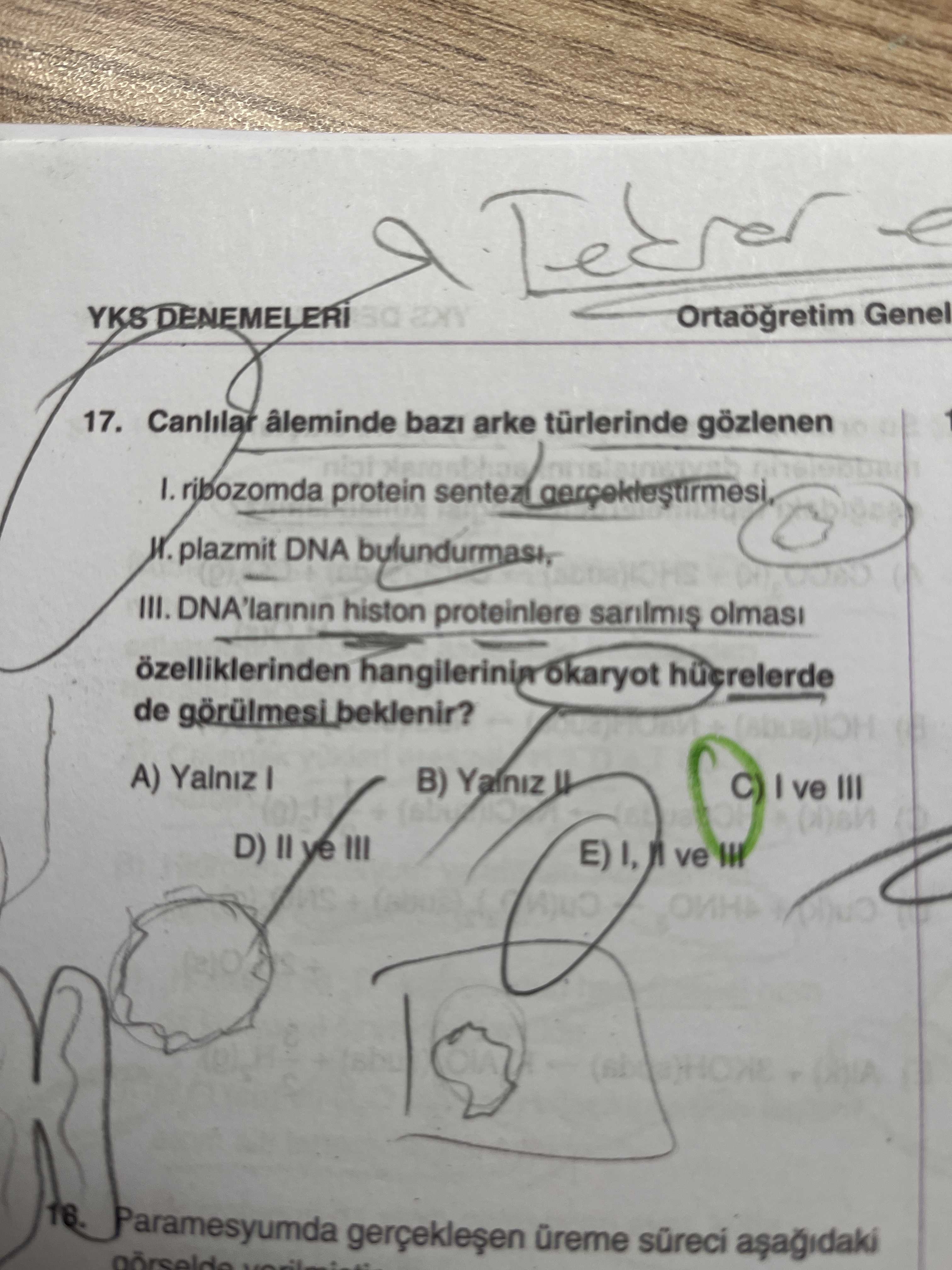 Canlılar âleminde bazı arke türlerinde gözlenen I. ribozomda protein sentezi gerçekleştirmesi, II