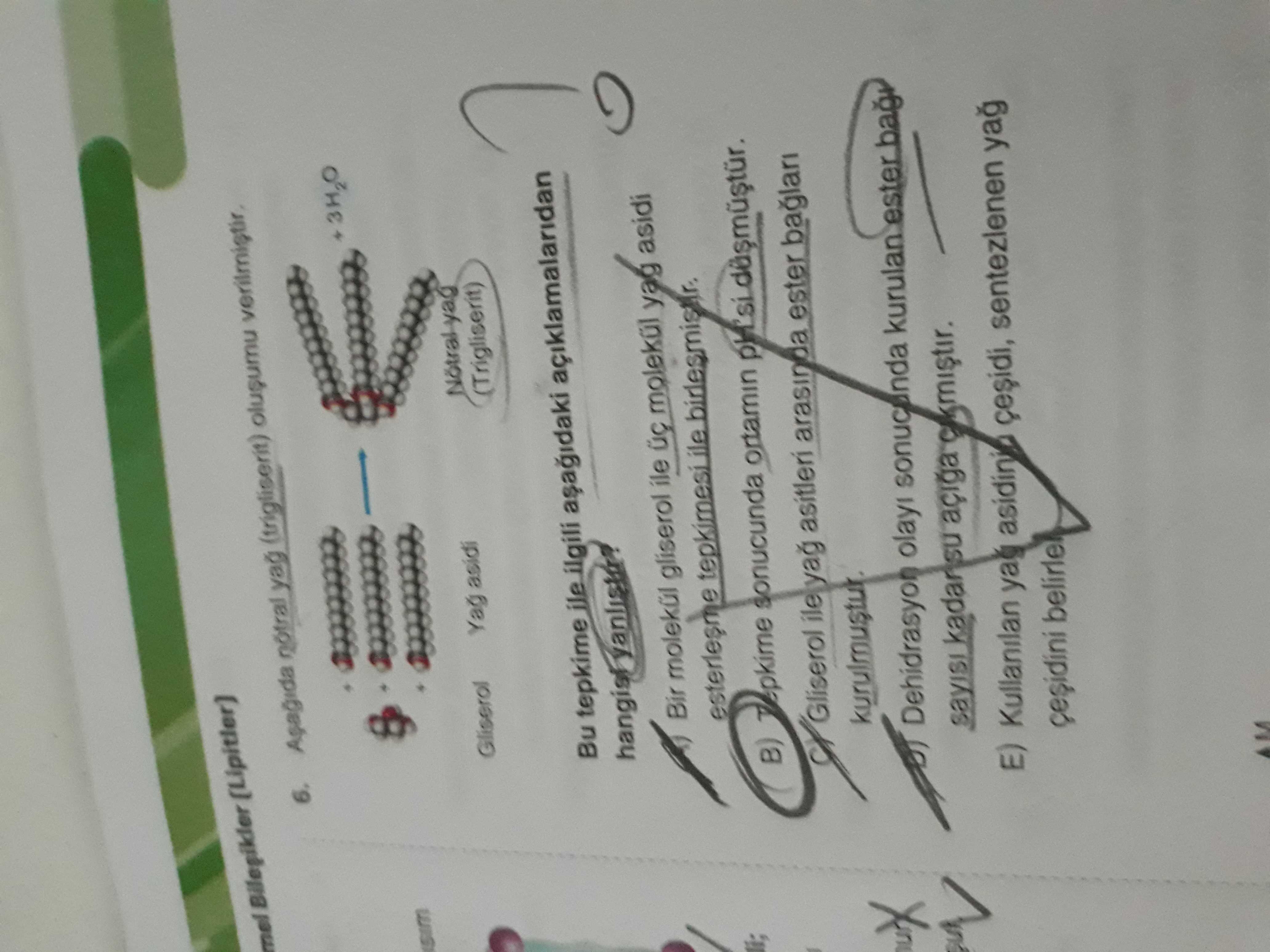 Mel 6. notral yag (trigliserit) oluçumu Gliserol Yag asidi yag (Trigliserit) Bu tepkime ile ilgili Bir molekül gliserol ile molekül yag asidi tepkimesi ile B) sonucunda ortamin Gliserol ile asitleri arasinda ester Dehidrasyon olayi kurulan açiga E) Kullanilan sentezienen belirle M mel 6. notral yag (trigliserit) oluçumu Gliserol Yag asidi yag (Trigliserit) Bu tepkime ile ilgili Bir molekül gliserol ile molekül yag asidi tepkimesi ile B) sonucunda ortamin Gliserol ile asitleri arasinda ester Dehidrasyon olayi kurulan açiga E) Kullanilan sentezienen belirle M. ?? Model.Question.title