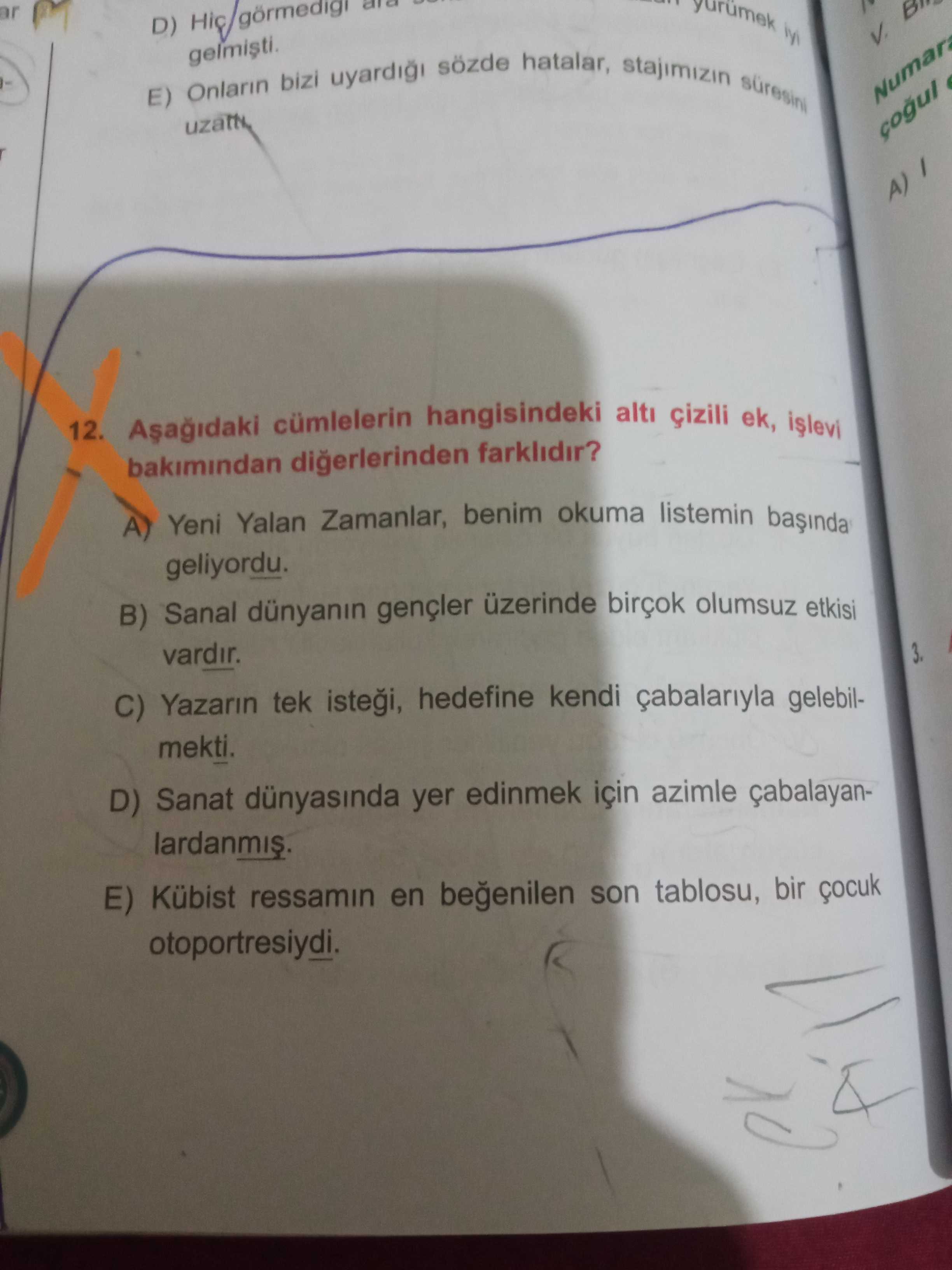 Türkçe (Mezun)