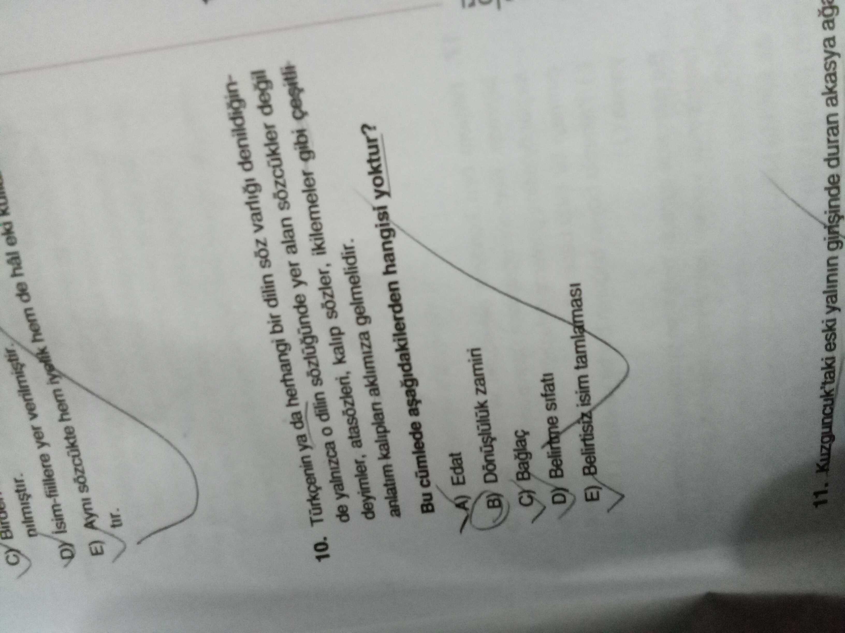 Türkçenin ya da herhangi bir dilin söz varlığı denildiğinde yalnızca o dilin sözlüğünde yer alan