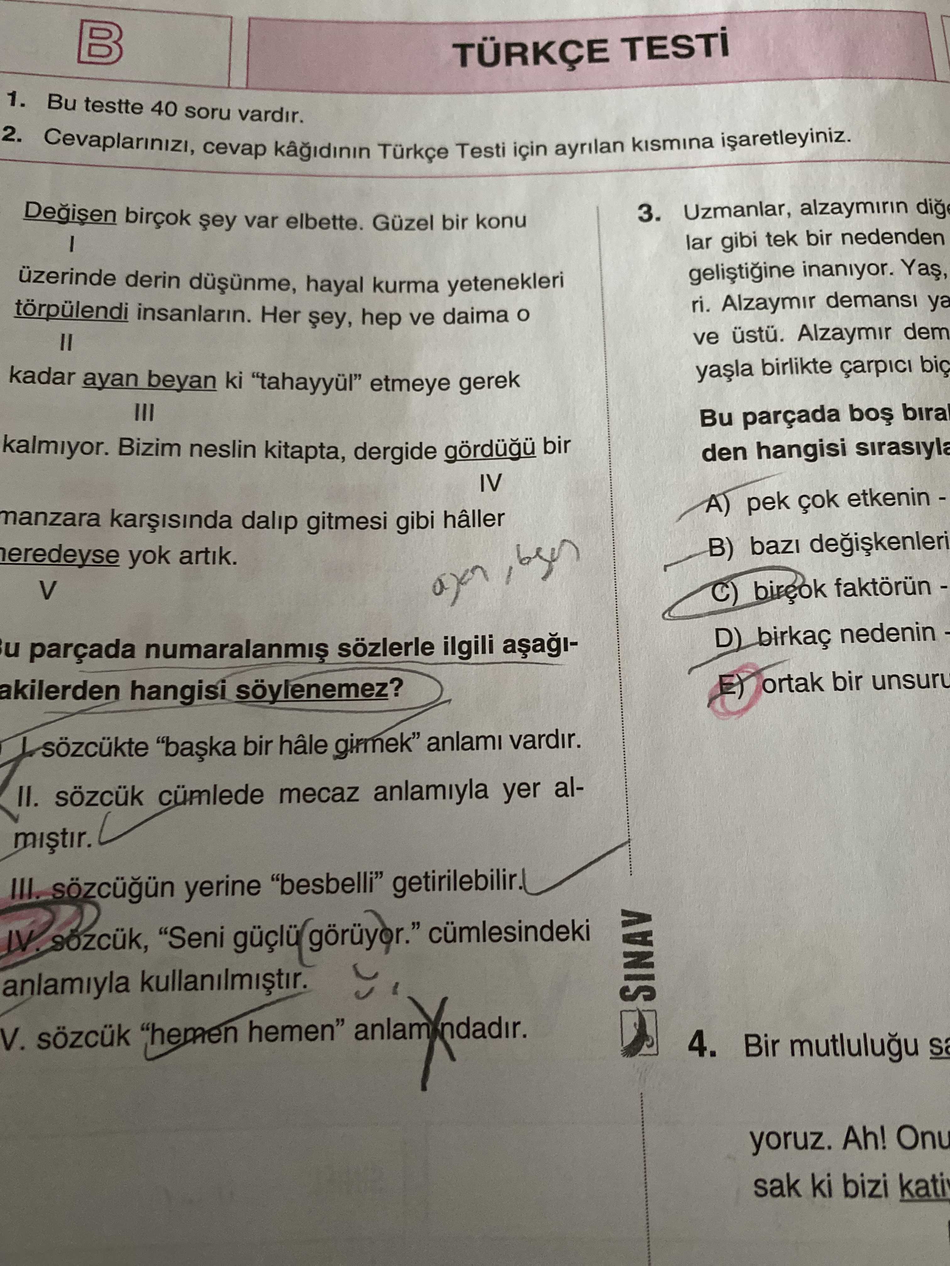 Türkçe (10. Sınıf)