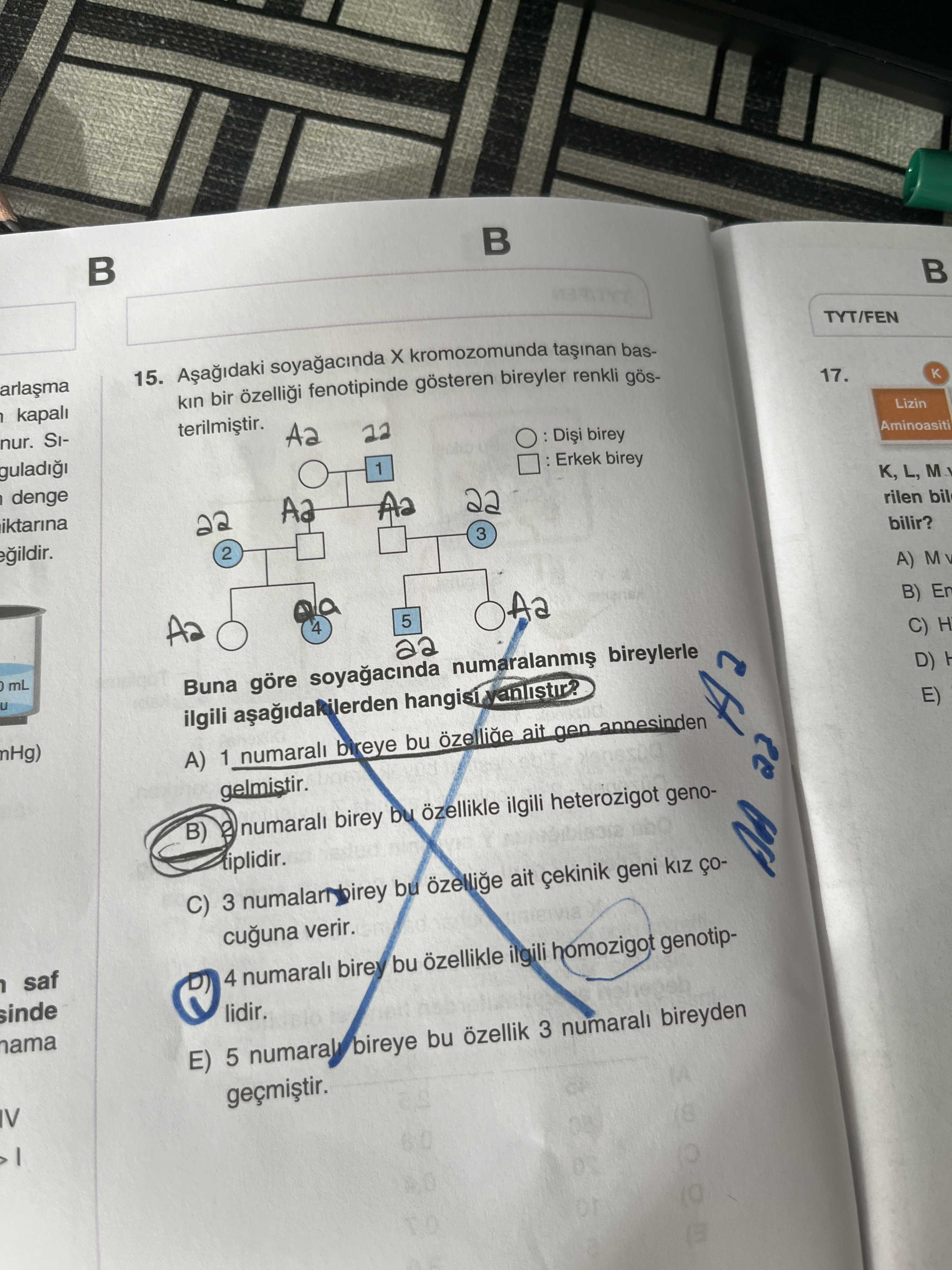 Aşağıdaki soyağacında X kromozomunda taşınan baskın bir özelliği fenotipinde gösteren bireyler
