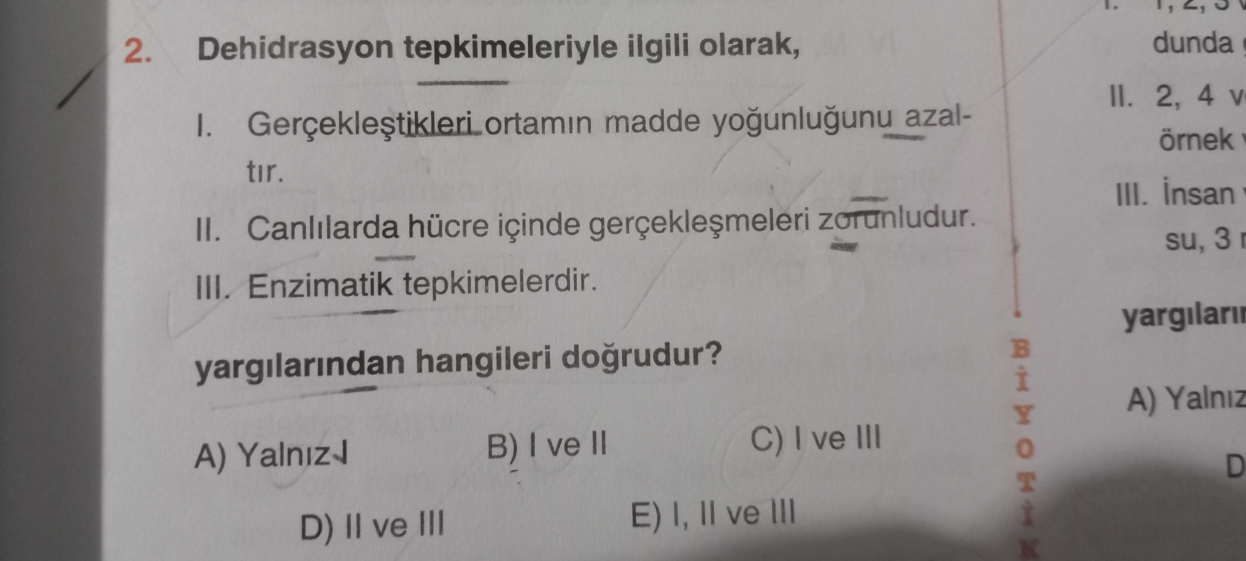 Biyoloji (12. Sınıf)