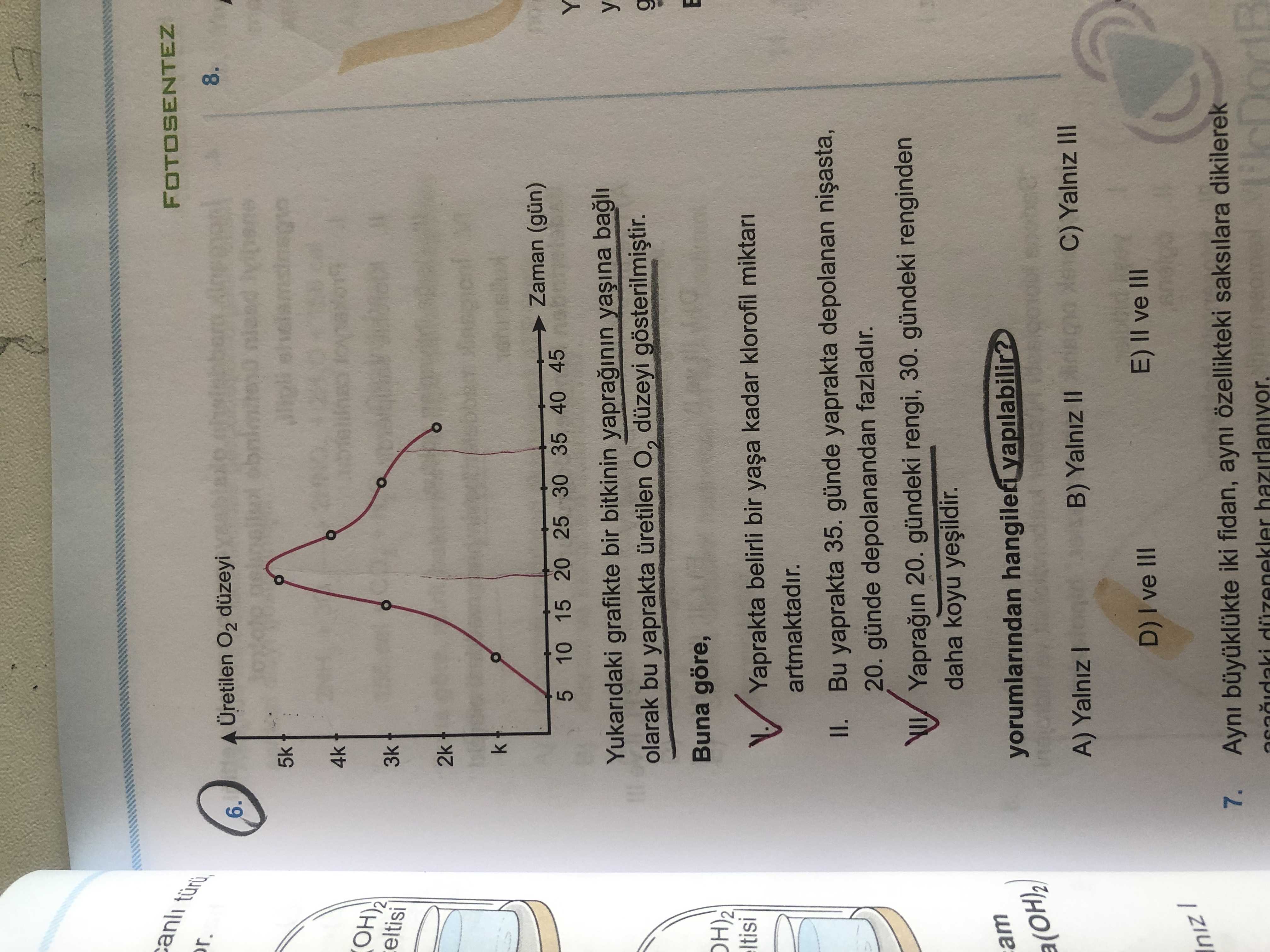 Yukarıdaki grafikte bir bitkinin yaprağının yaşına bağlı olarak bu yaprakta üretilen O₂ düzeyi gösterilmiştir. Buna göre, I