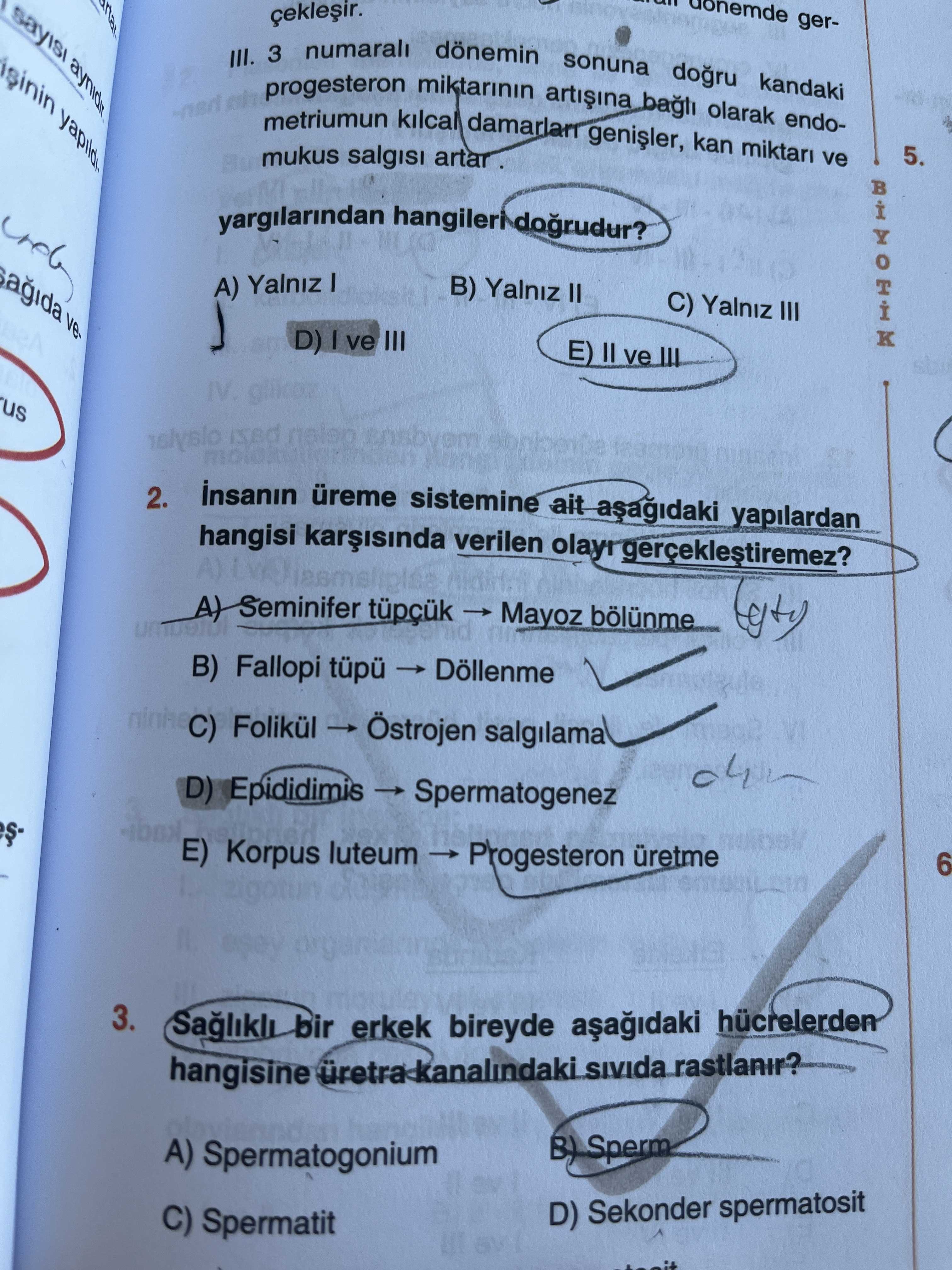 III. 3 numaralı dönemin sonuna doğru kandaki progesteron miktarının artışına bağlı olarak